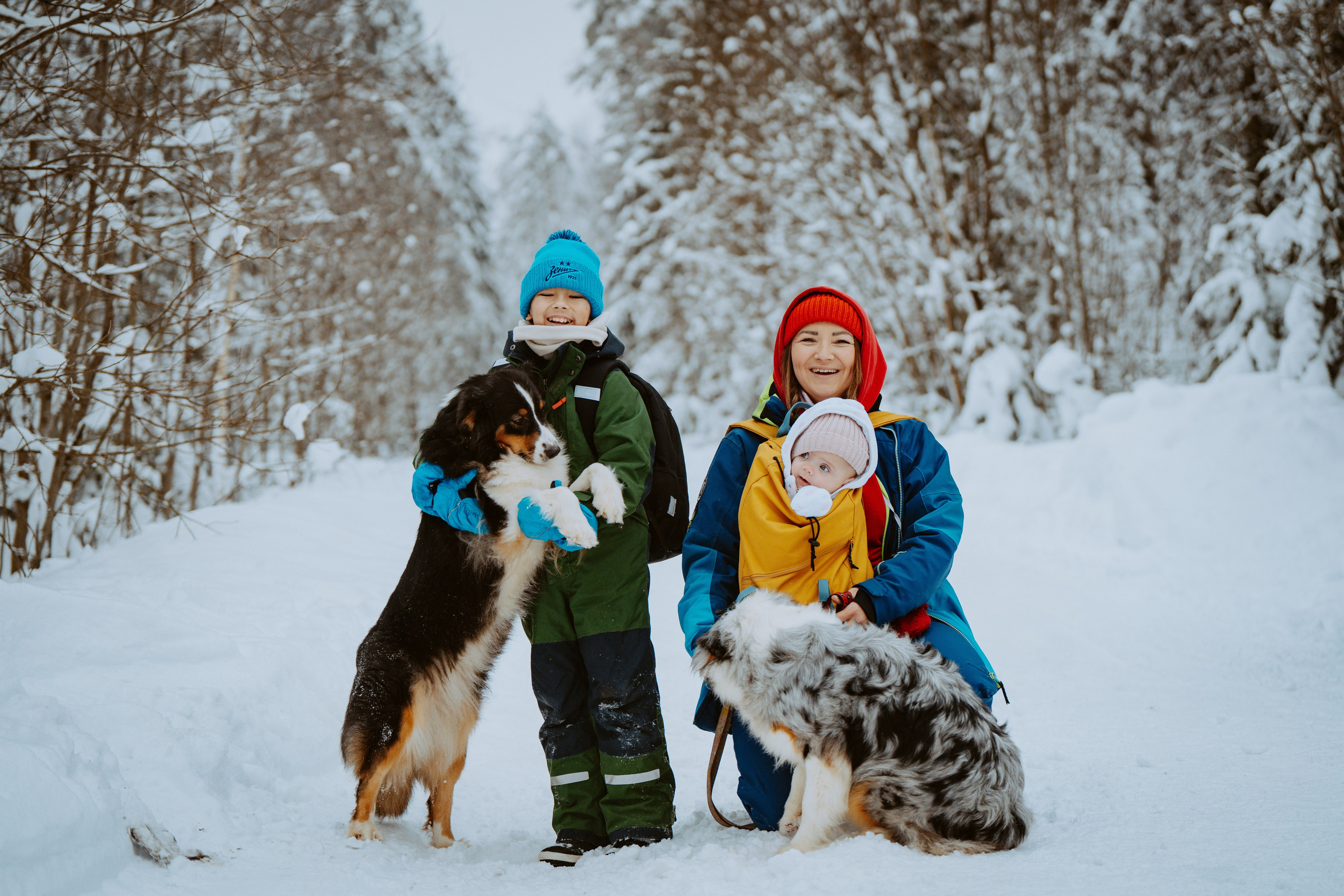 Дог трекинг. Фотограф анималист в Спб недорого Олеся Майорова