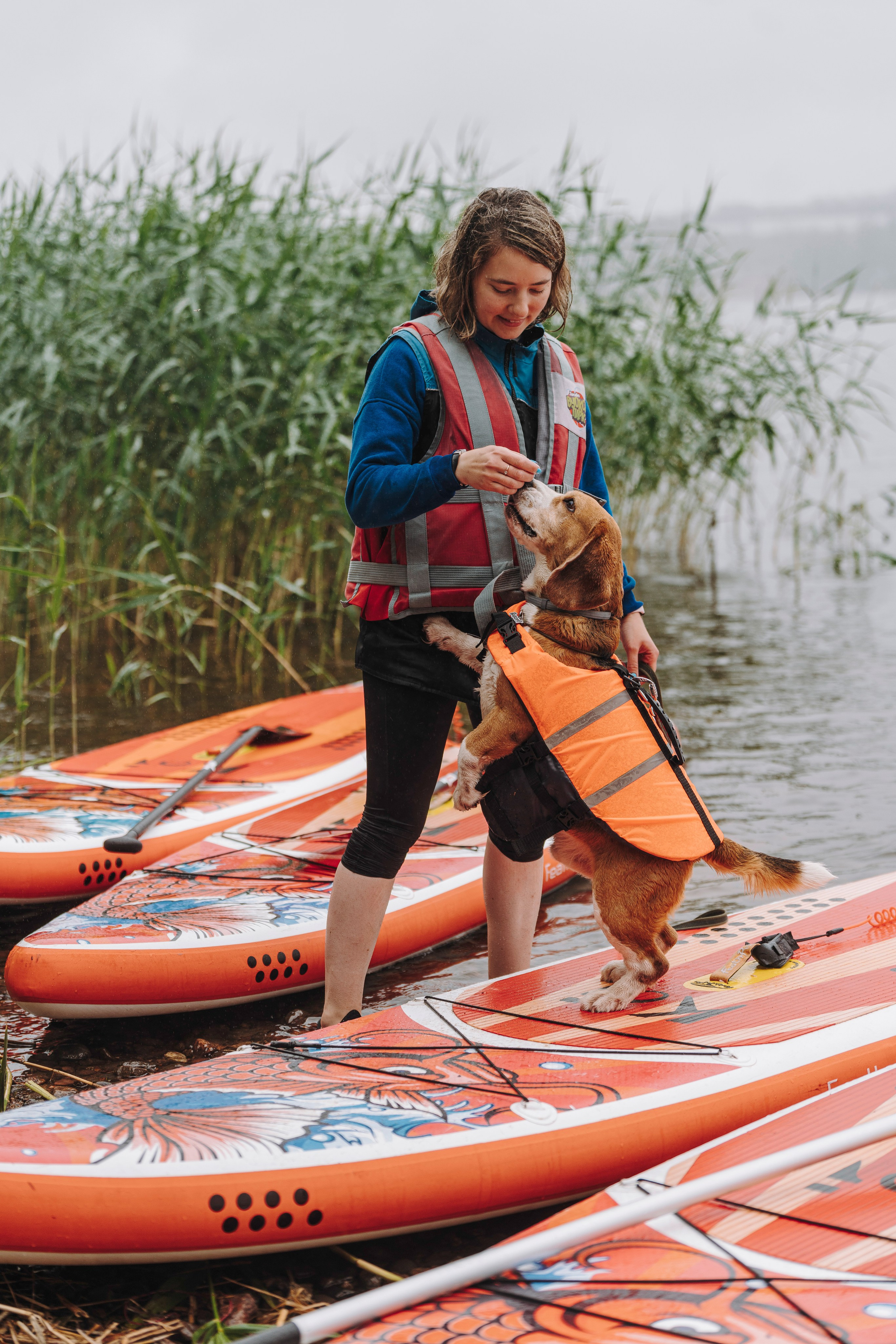 Катание на сапах с собаками. Фотограф анималист в Спб недорого Олеся Майорова