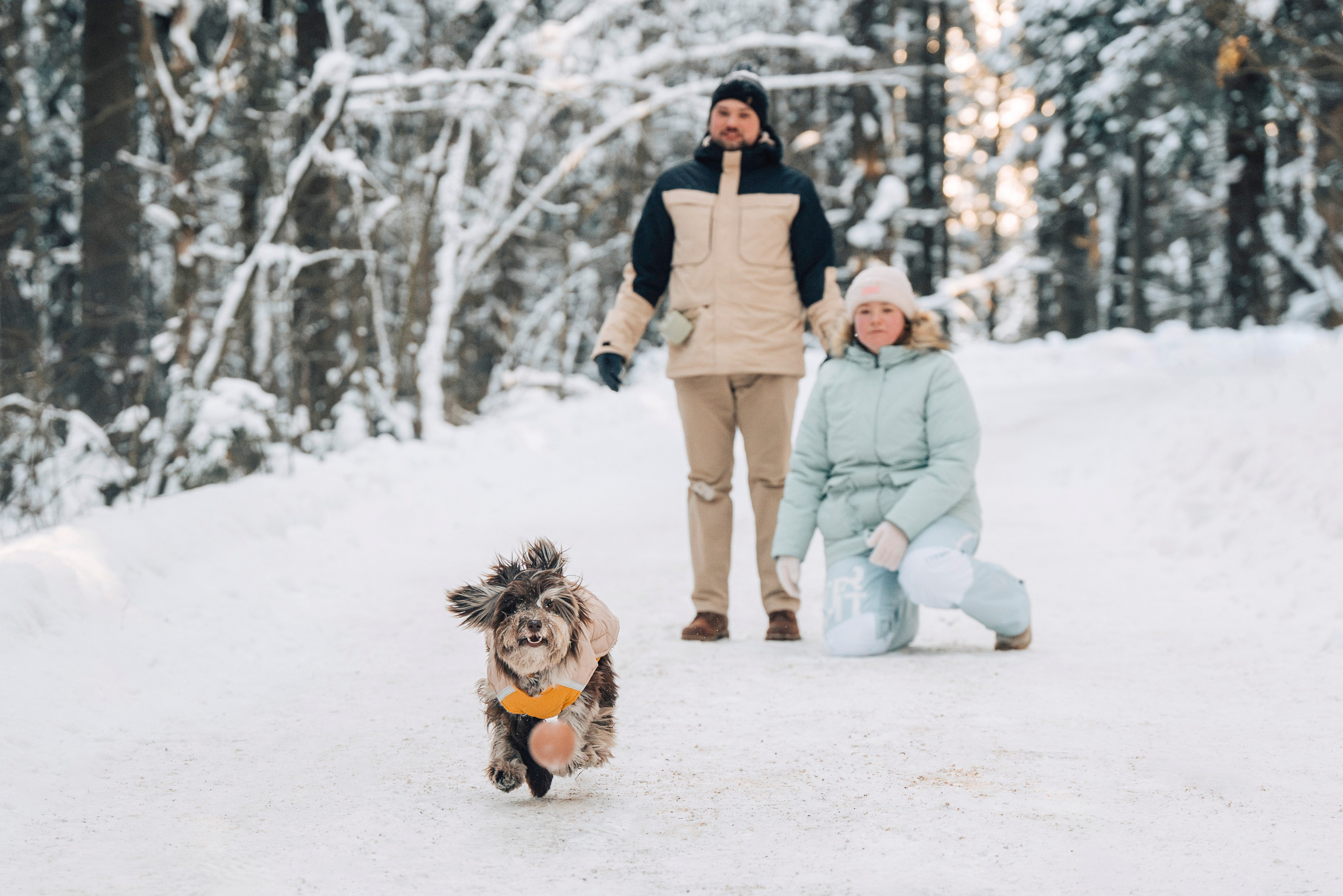 Хэйзел и её семья. Фотограф анималист в Спб недорого Олеся Майорова
