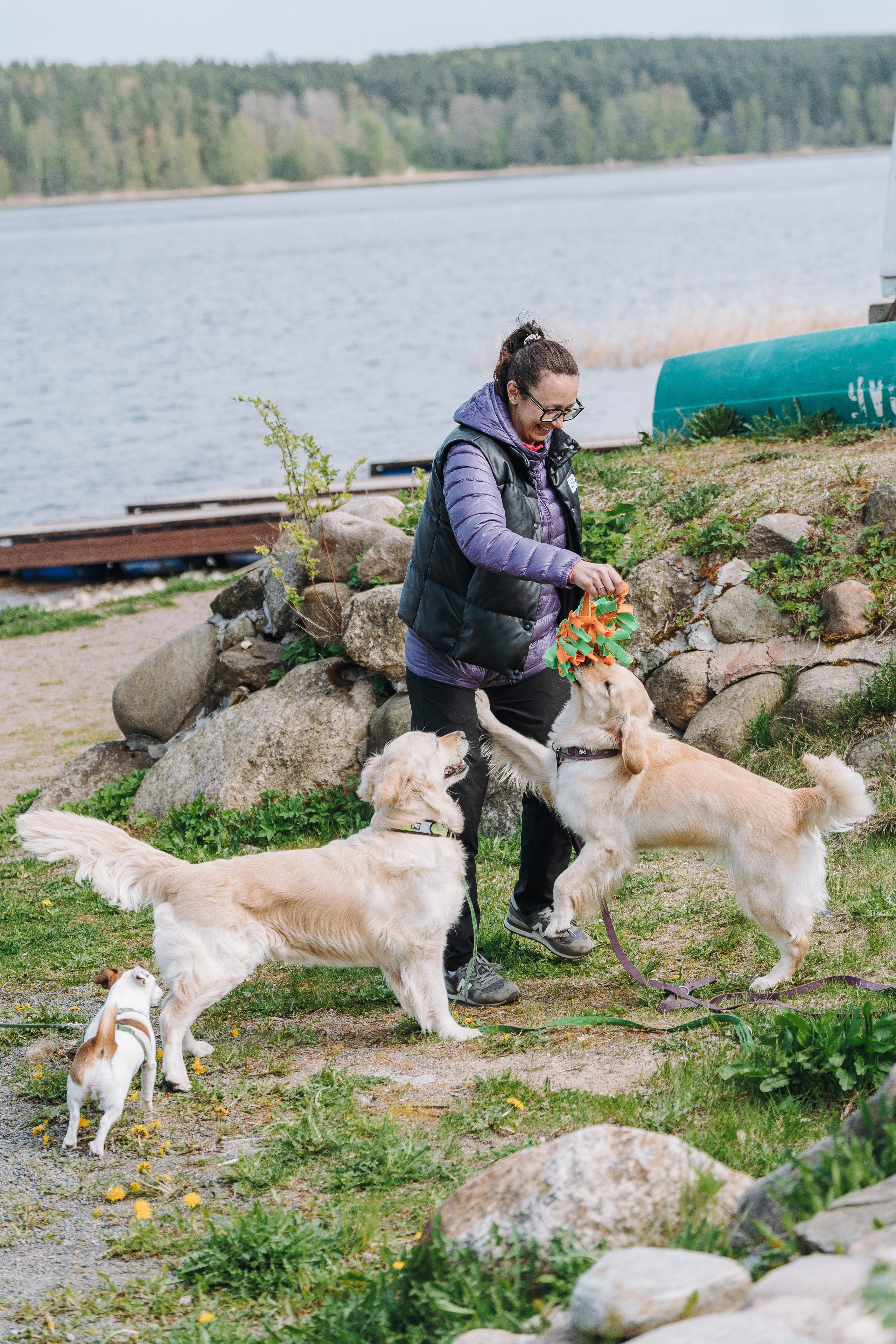Соревнования по ноузворку в Лосево. Фотограф анималист в Спб недорого Олеся Майорова