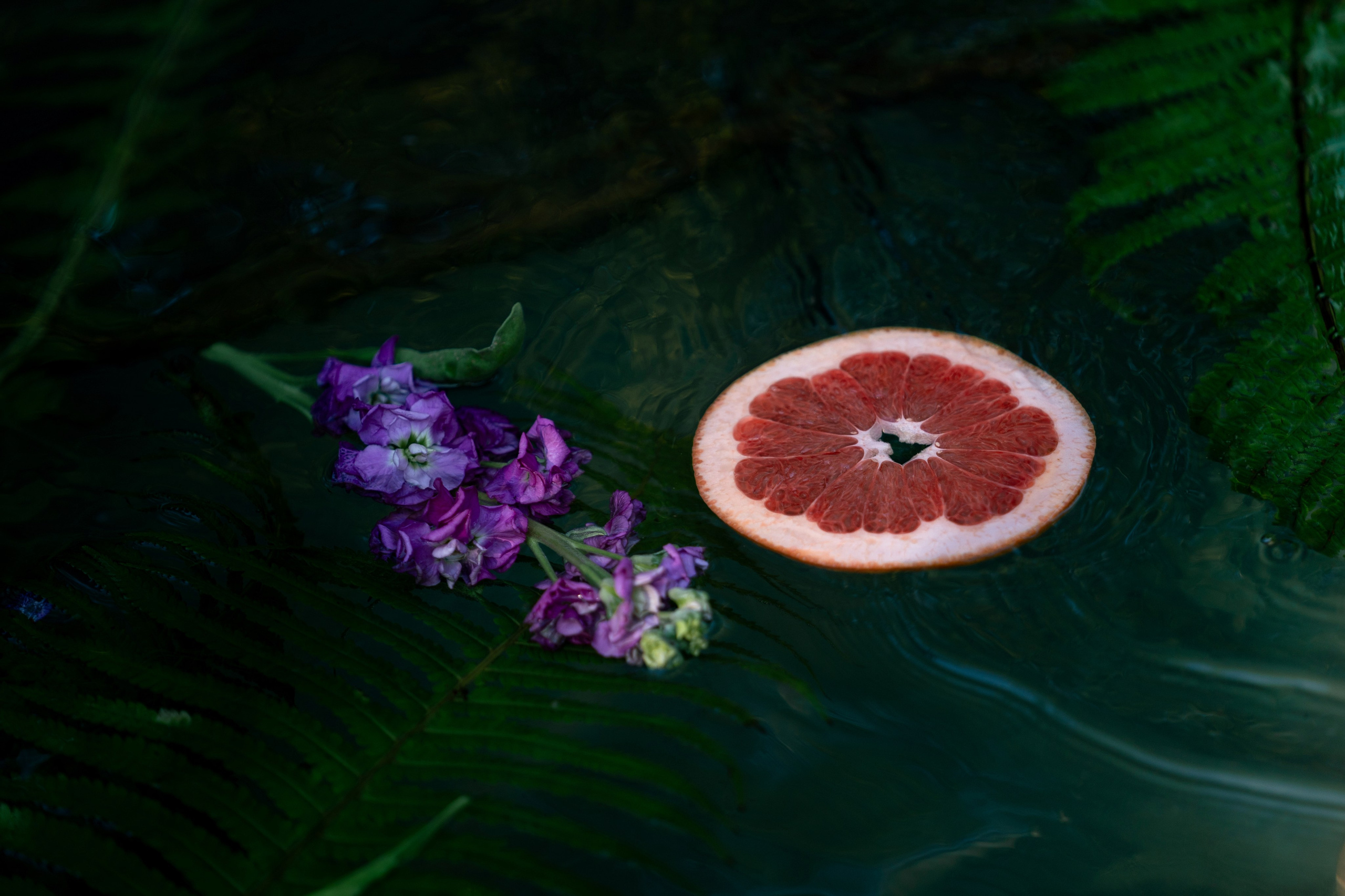 Контент для River Side Spa. Репортажный фотограф в Красной Поляне и Сочи Павлюченко Екатерина