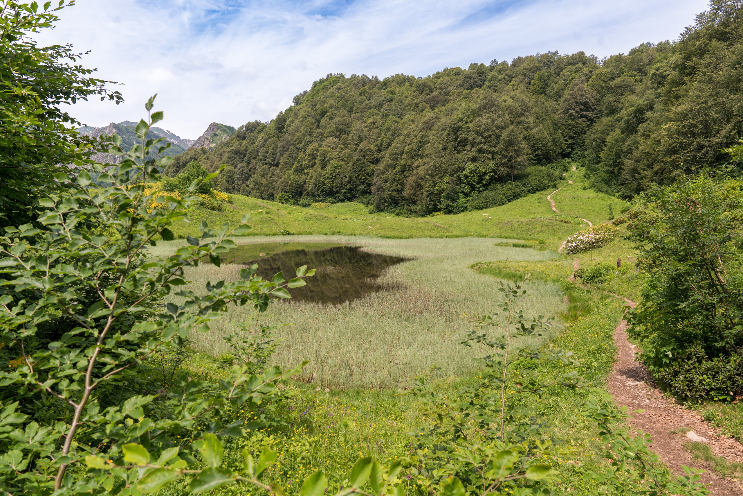 MICE мероприятие для компании «Доставка морем»: хайкинг к Ачипсинским водопадам. Репортажный фотограф в Красной Поляне и Сочи Павлюченко Екатерина