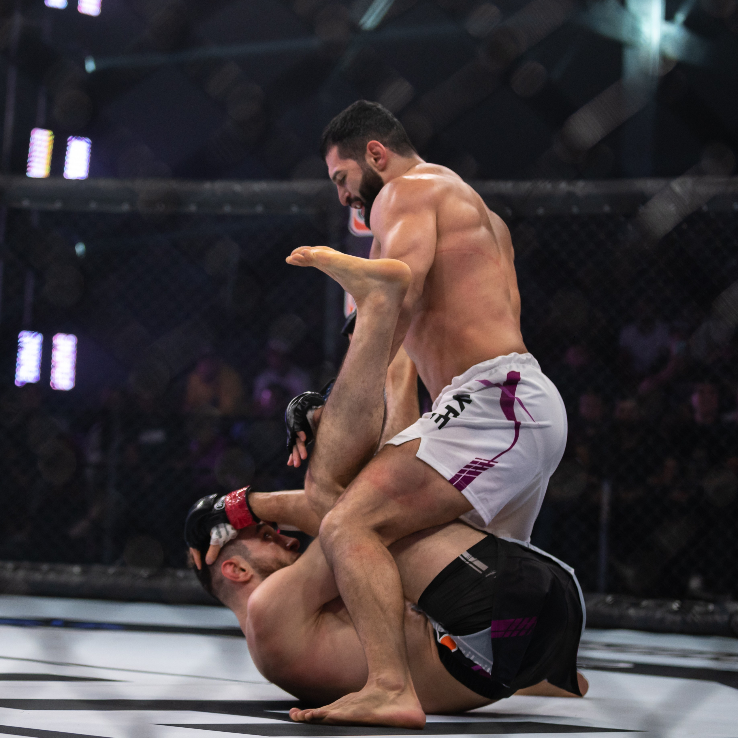 Бои. Репортажный фотограф в Красной Поляне и Сочи Павлюченко Екатерина