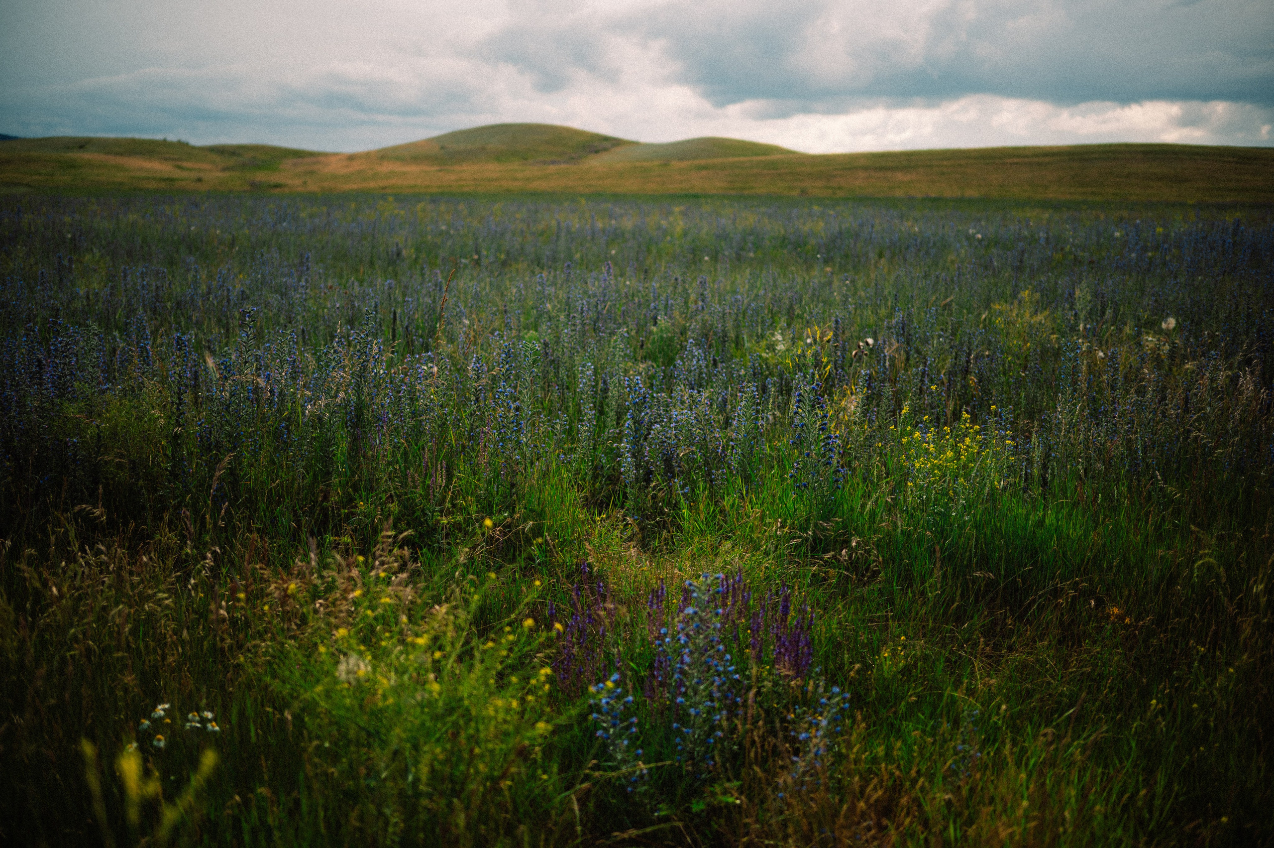 Чарын-Кольсай: лето 2024. Фотограф в Алматы — Дарья Фёдорова