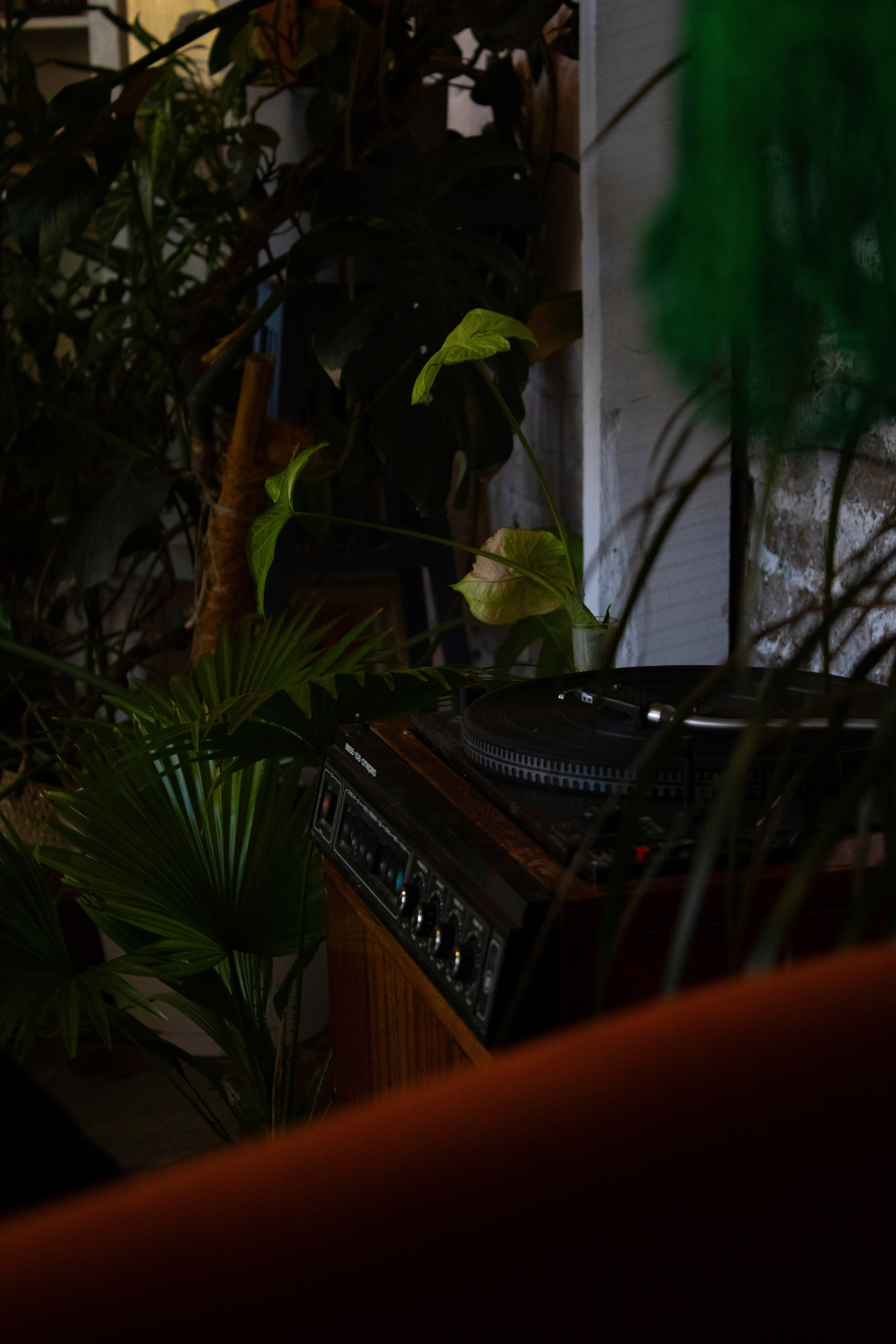 Вдохновение. Бутакова Елена фотограф в Екатеринбурге