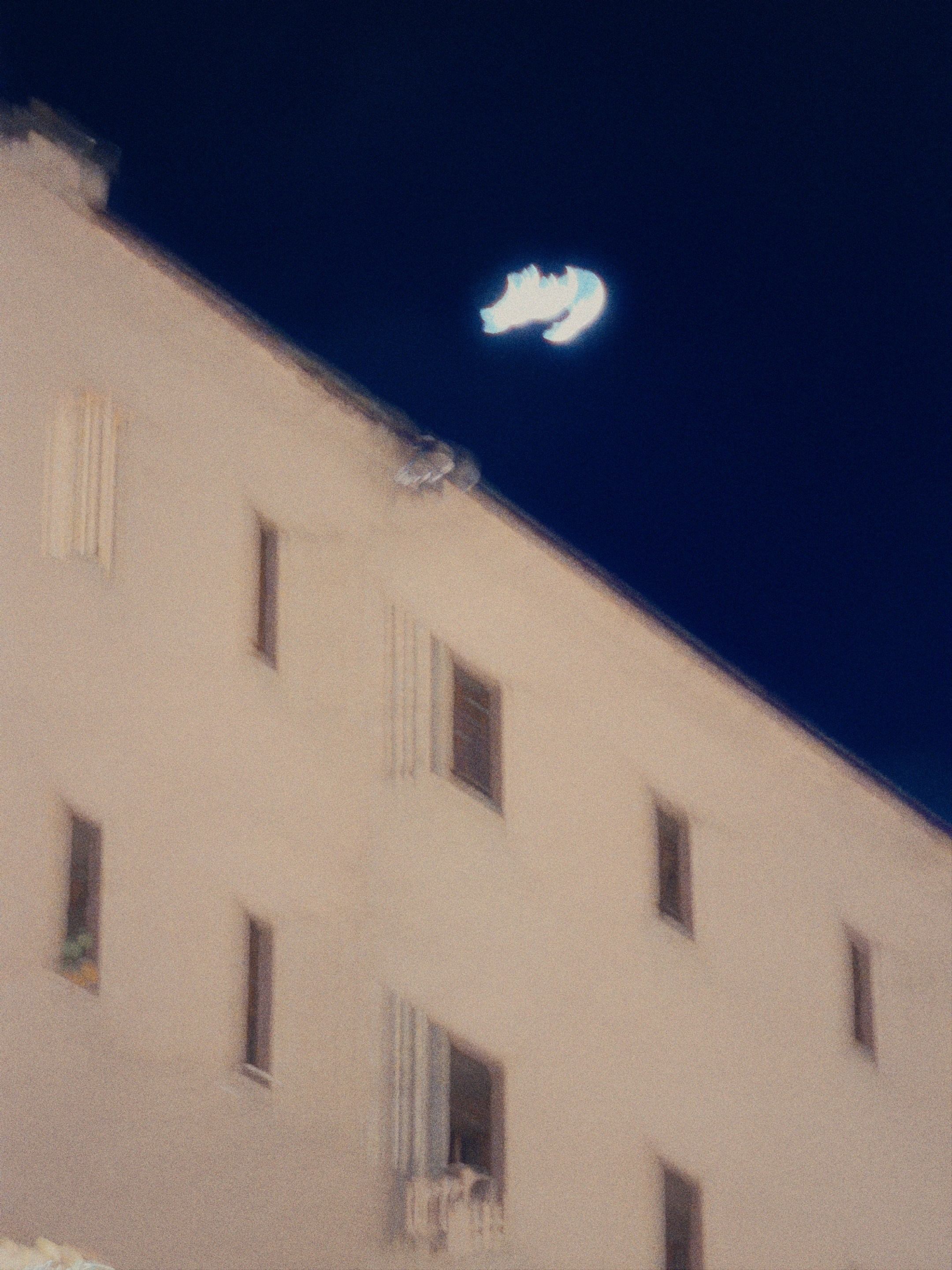 DIMA BURZA , аймпрессионизм , shotoniphone , 17 pro , mobile photography , мобильная фотография , Дима Бурза , cuntentmaker