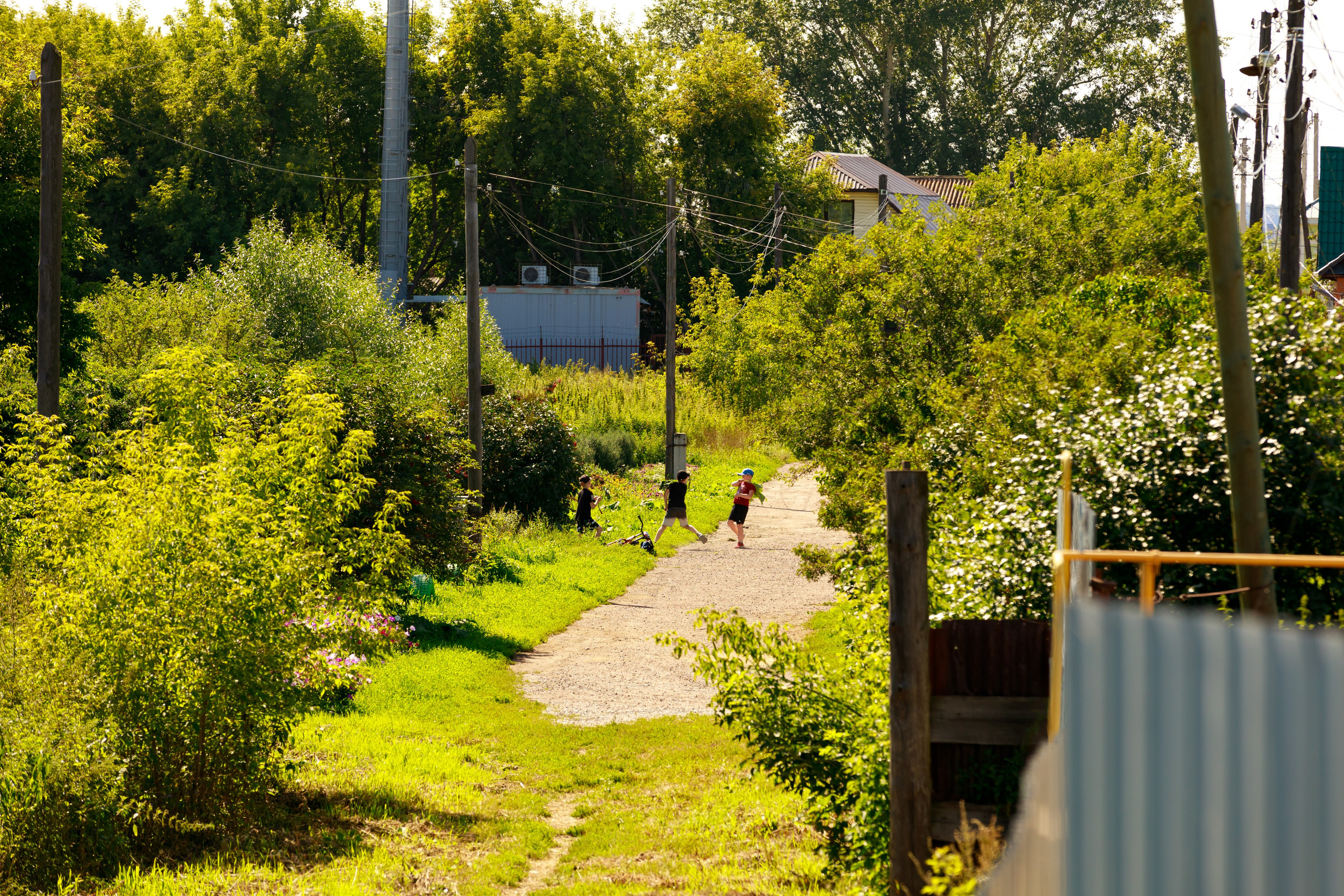 Август. Фотограф Андрей Гузеев