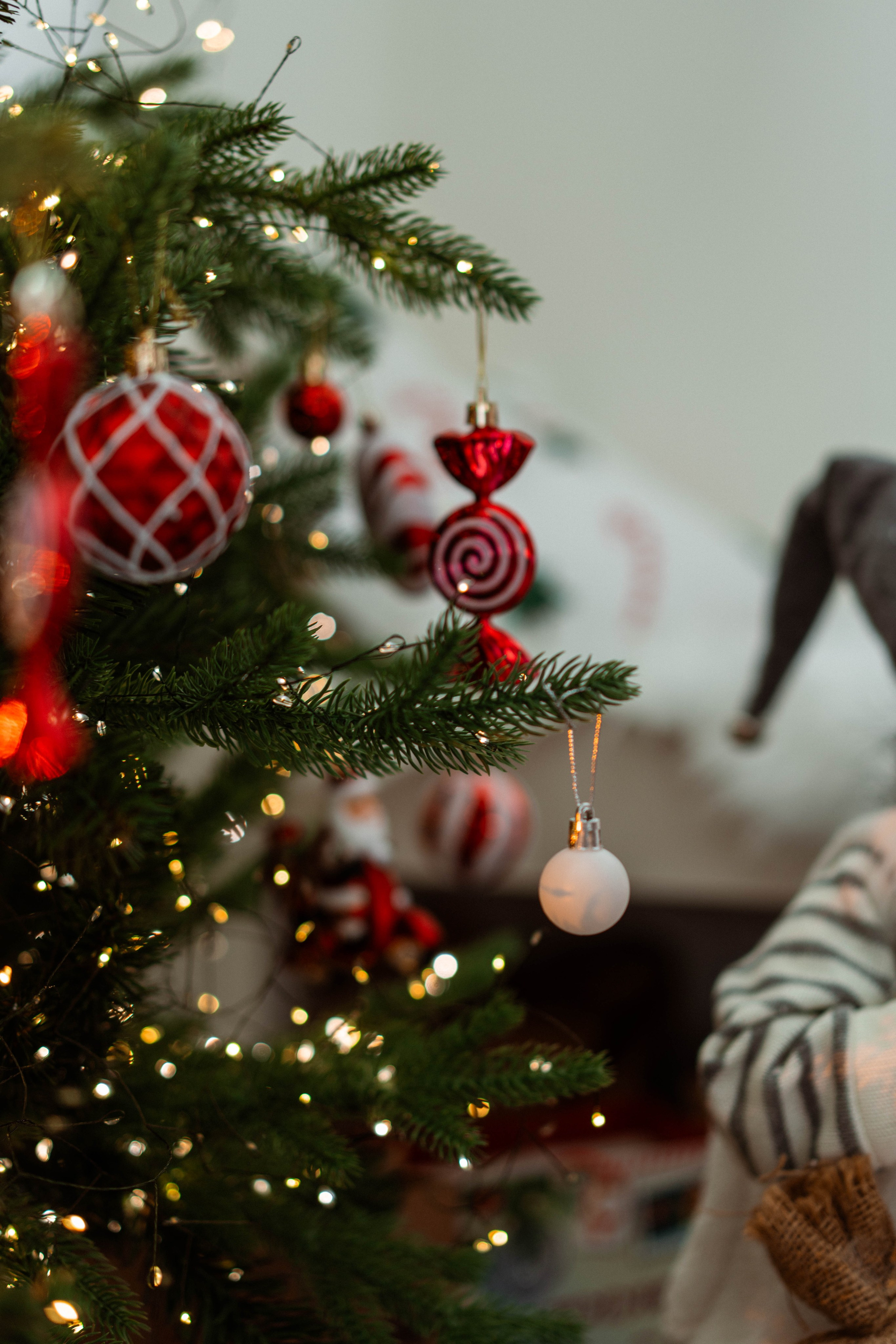 Семья. Свадебный фотограф видеограф в Москве и Санкт-Петербурге