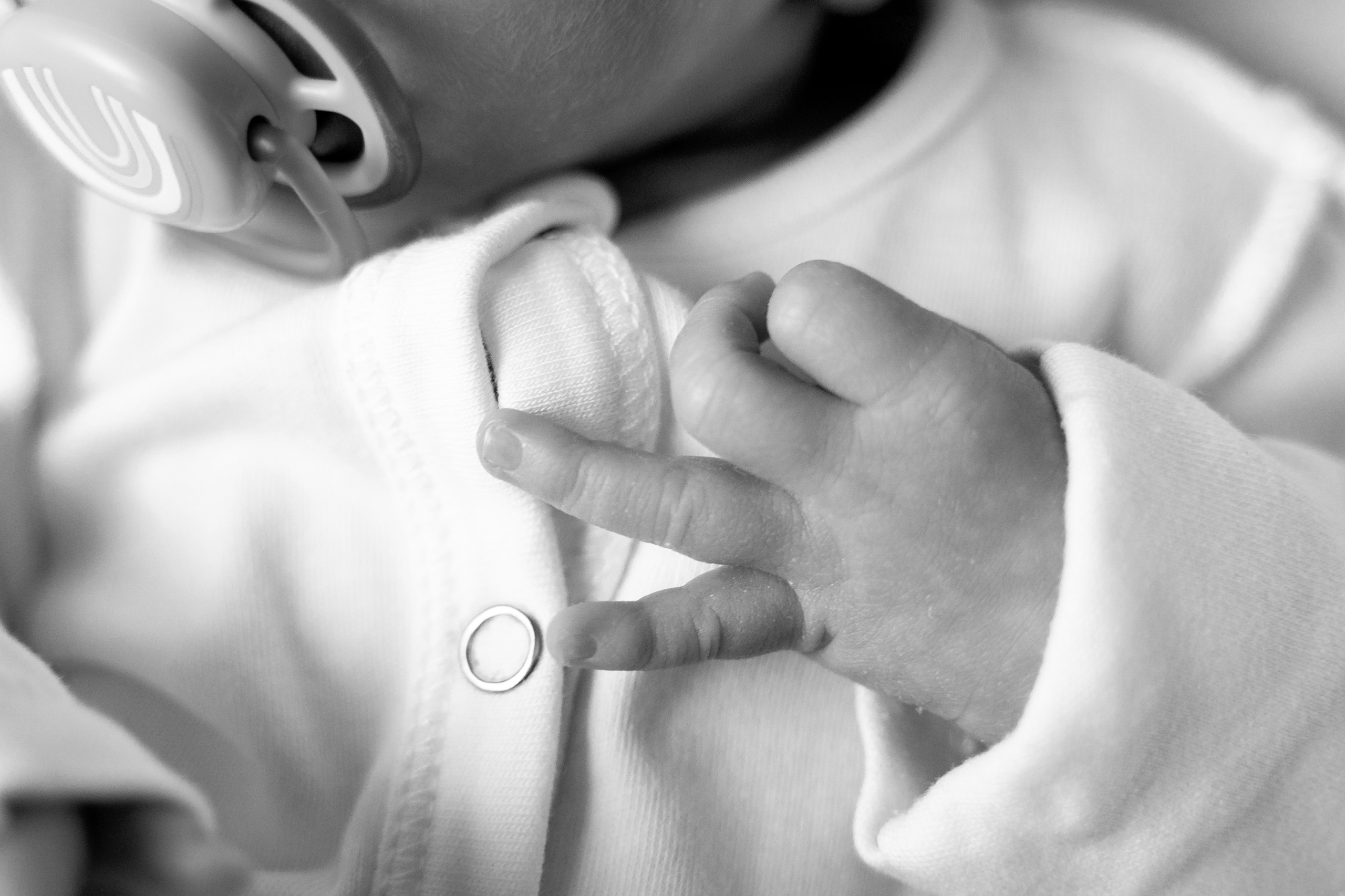 Пакет № 1 Базовый. Фотограф Москва Подольск МО