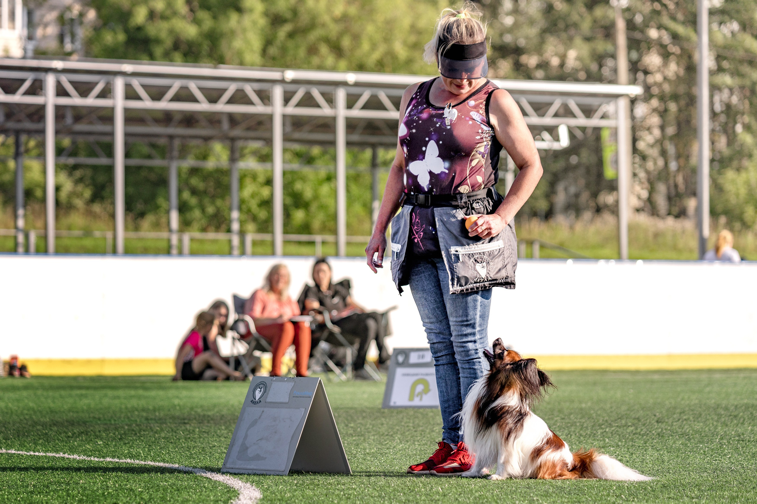 Ралли обидиенс. Фотограф анималист Аня Ливанова | Рыбинск