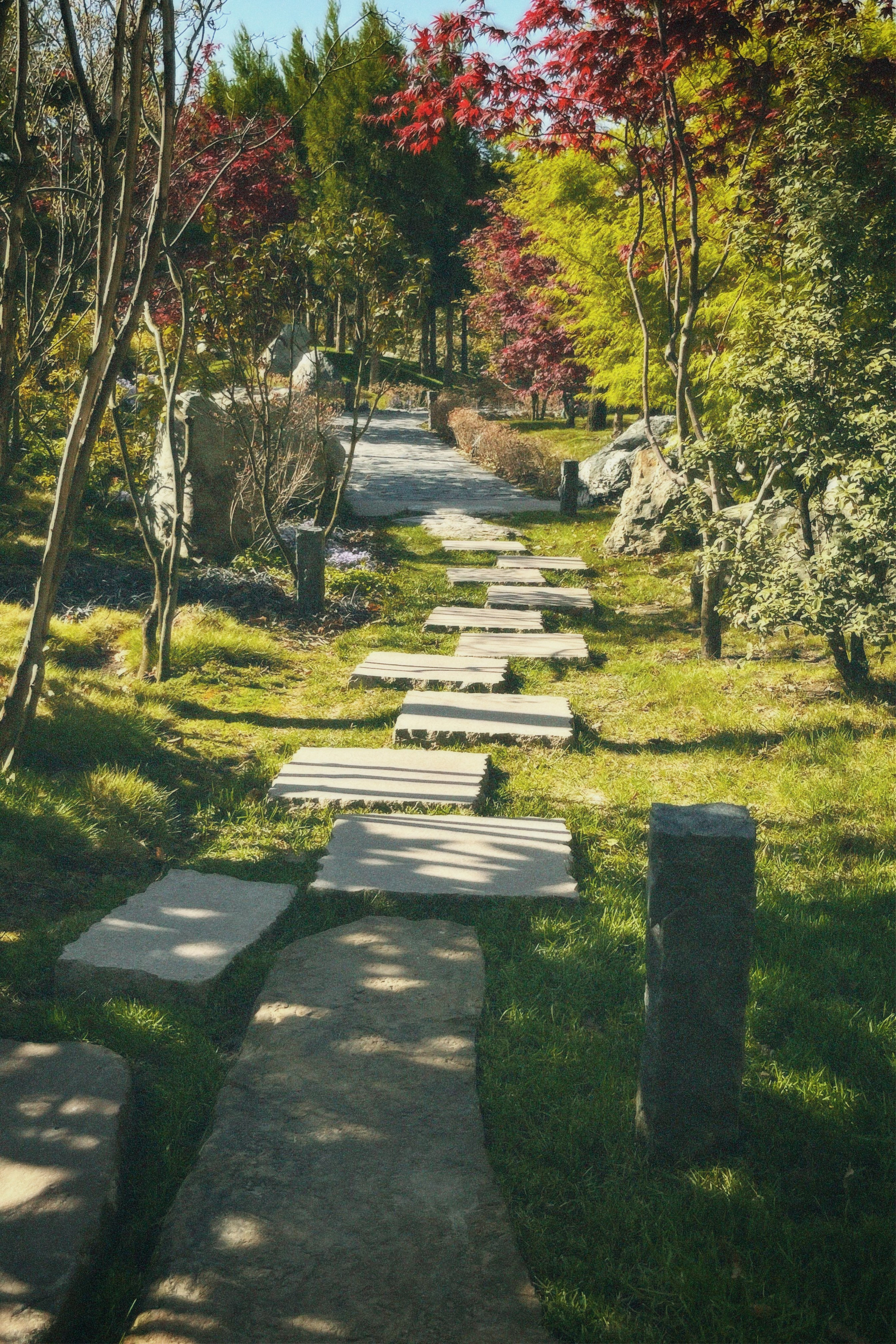 КРАСНОДАР. Портретный и лавстори фотограф в Стерлитамаке Альбина Шарт