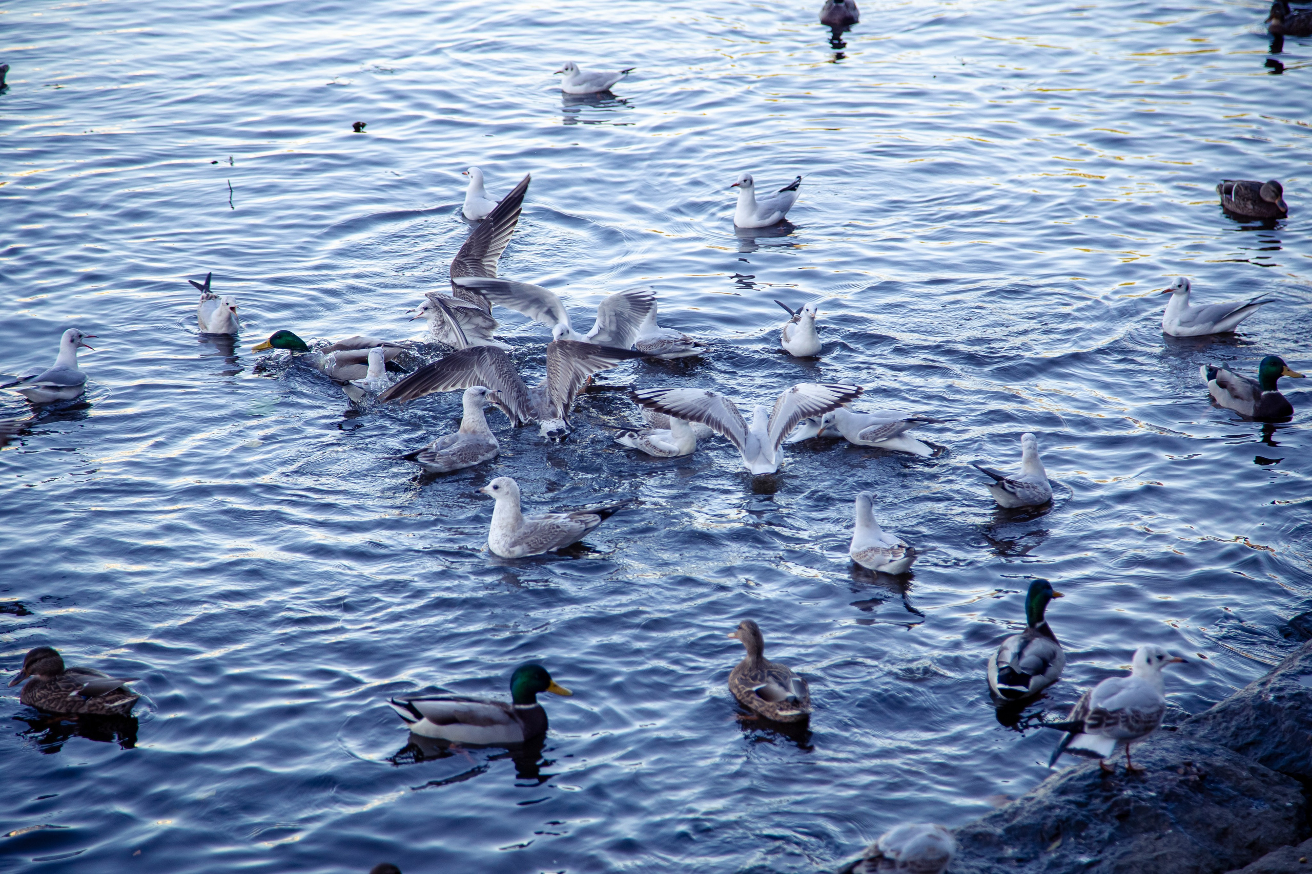 Насдвое. Репортажный и портретный фотограф Казань / Горячих Полина