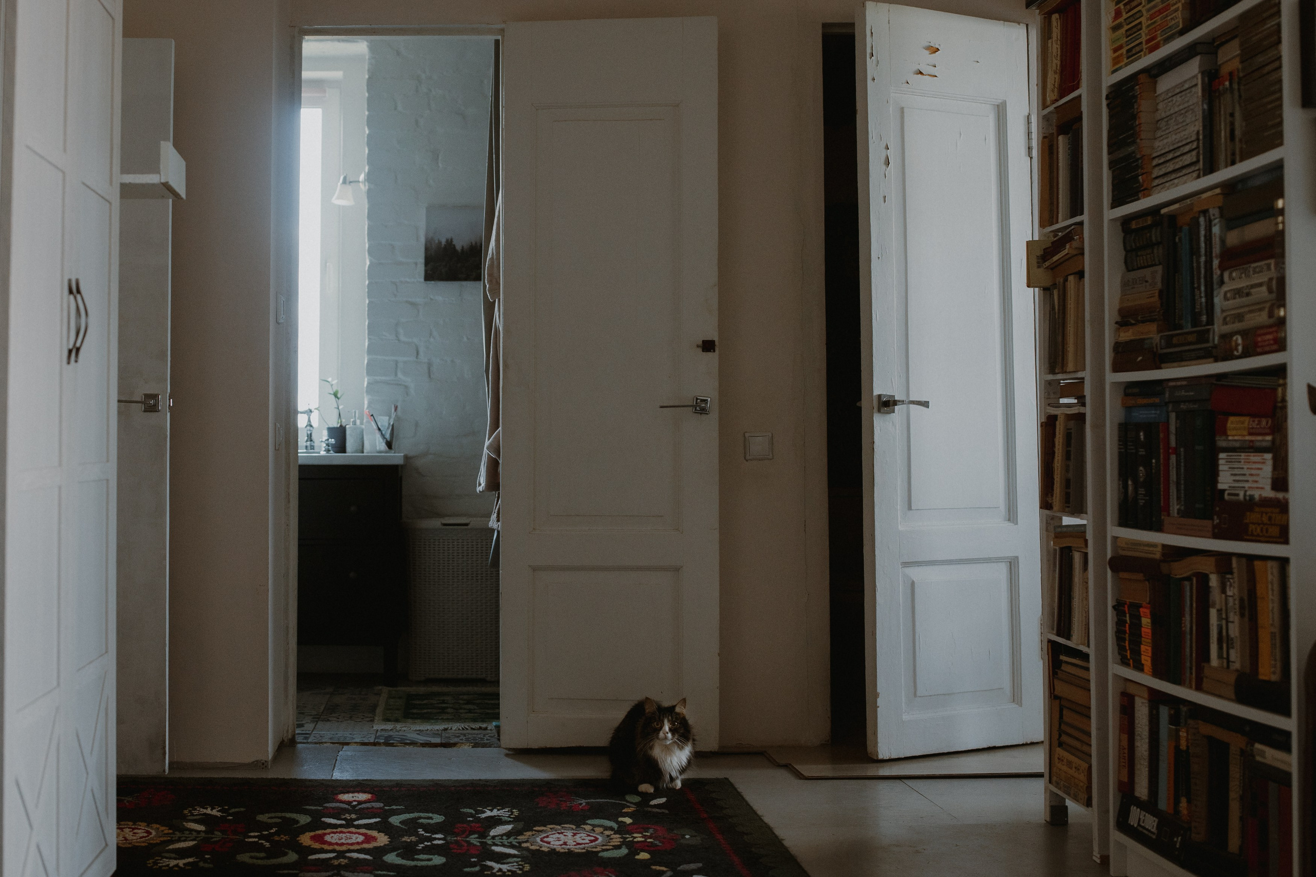 Артем и Анастасия. Свадебный фотограф в Ярославле Андрей Перегудов