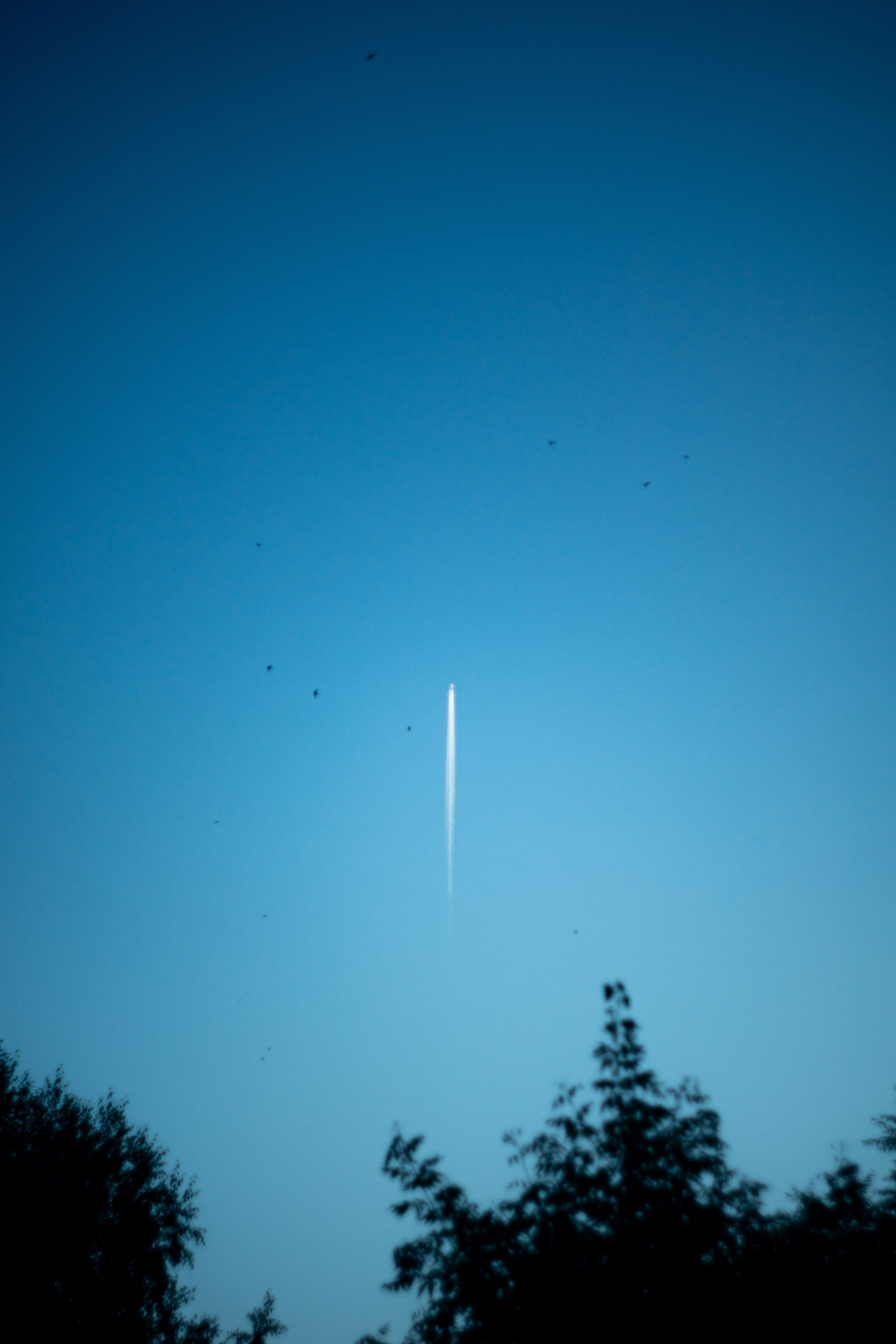 Tender Colors of a Heavy City. Whoii art