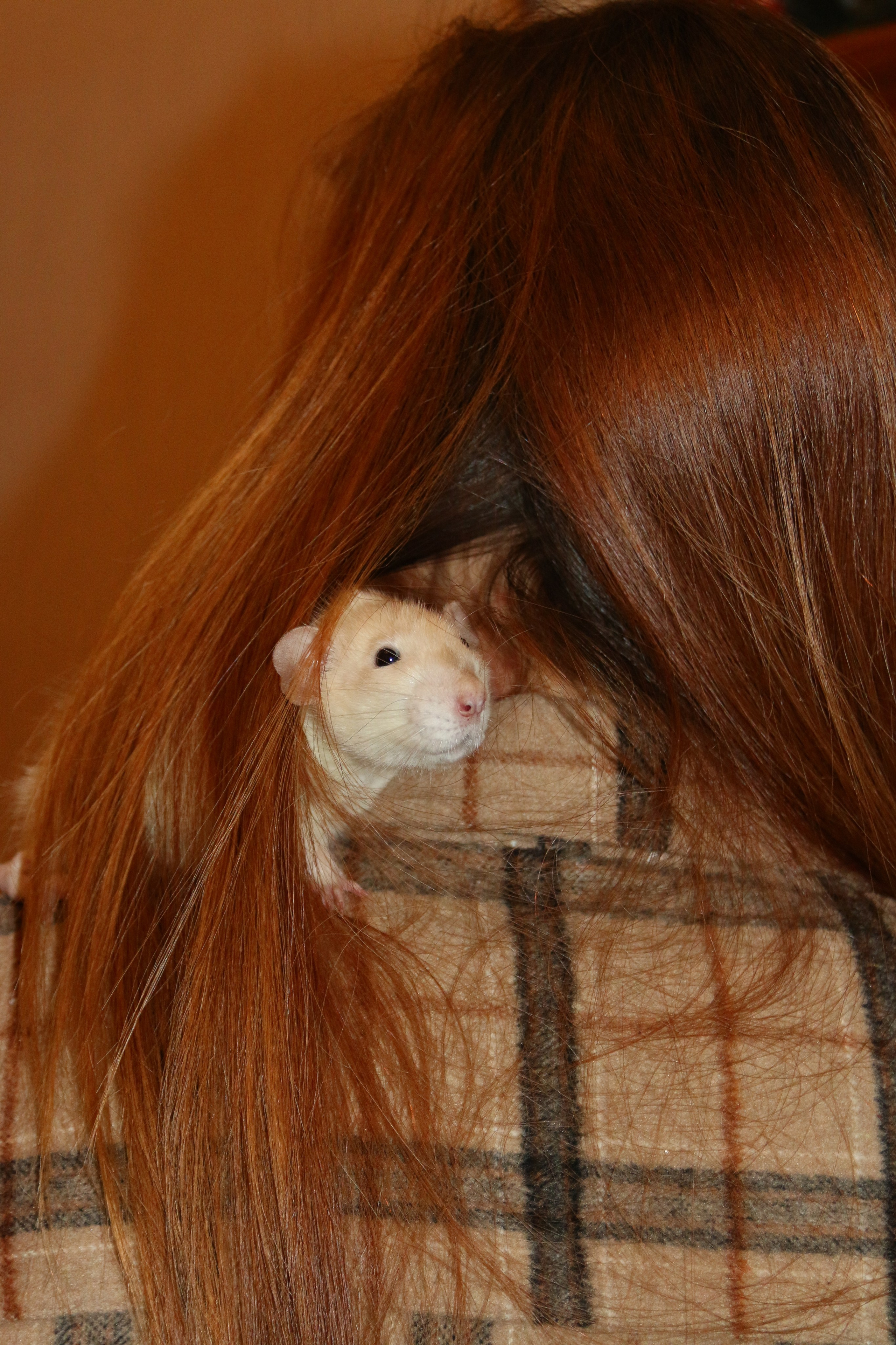 Съемка с питомцем