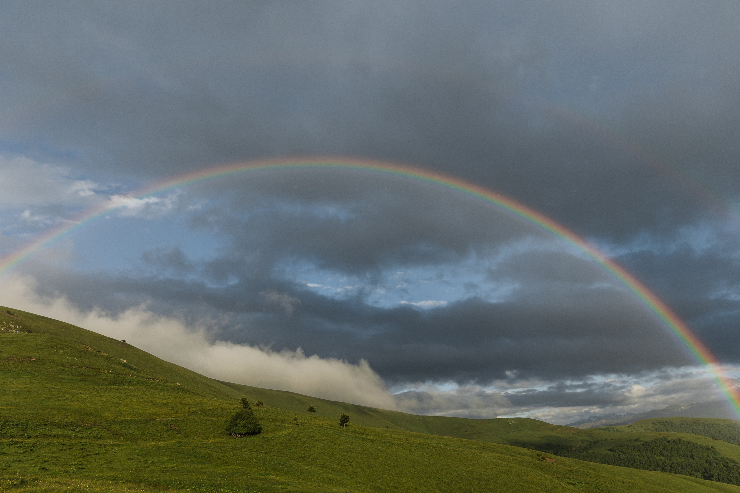 Elbrus. Свадебный и семейный фотограф в Краснодаре Роман Моско