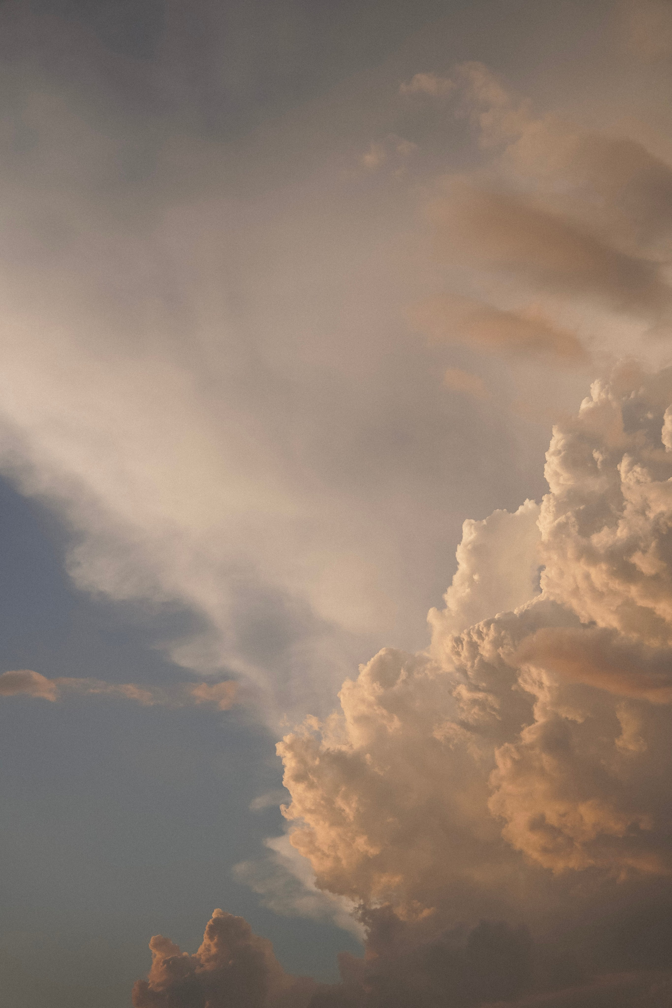 Девичник на террасе. Фотограф с психологическим образованием