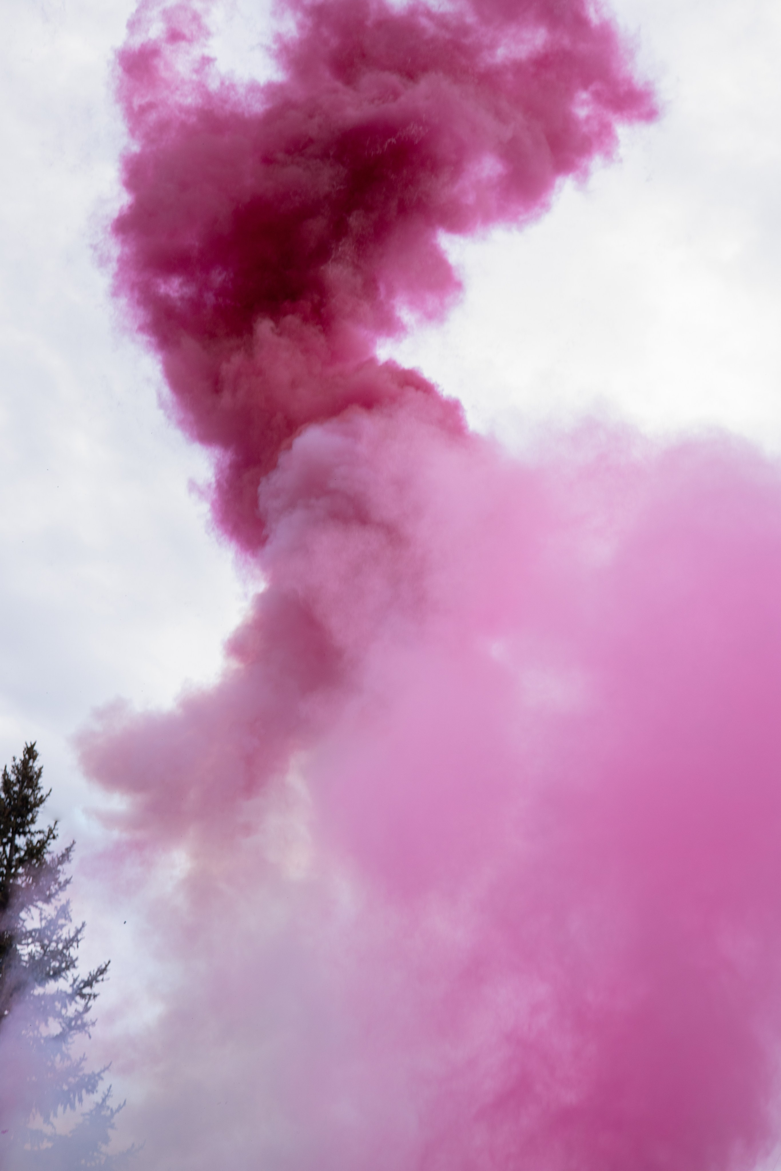 Гендер пати Андрея и Саши. Семейный фотограф в Сочи Любовь Переседова