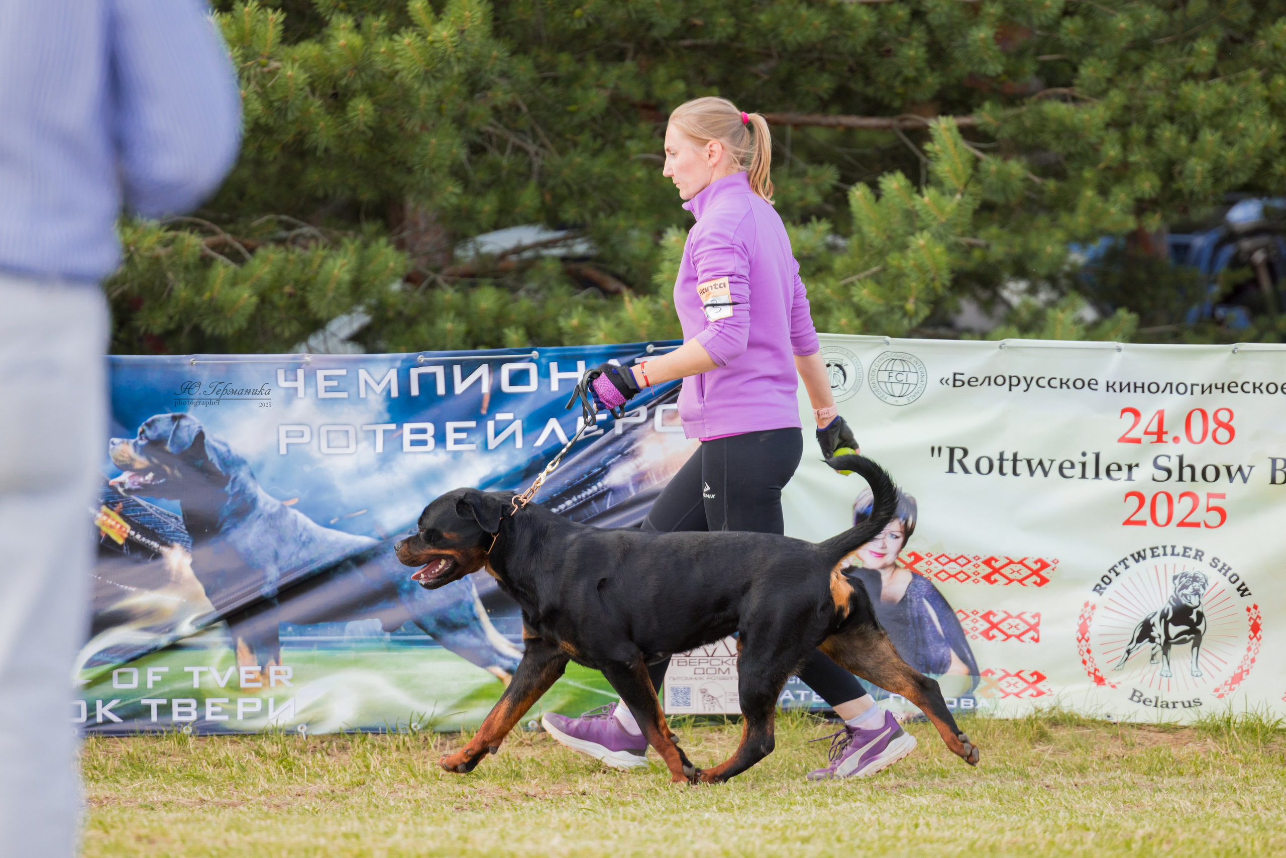 Тверь ротвейлеры 5-6.07.2025. Фотограф-анималист Юлия Германика