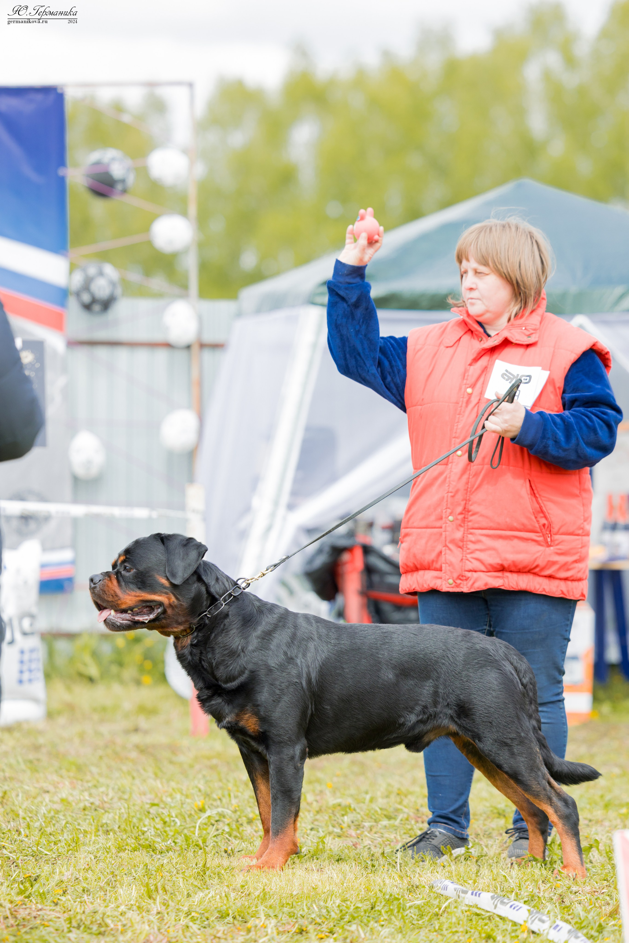 Нижний Новгород 11-12.05.2024 моно ротвейлеров. Фотограф-анималист Юлия Германика