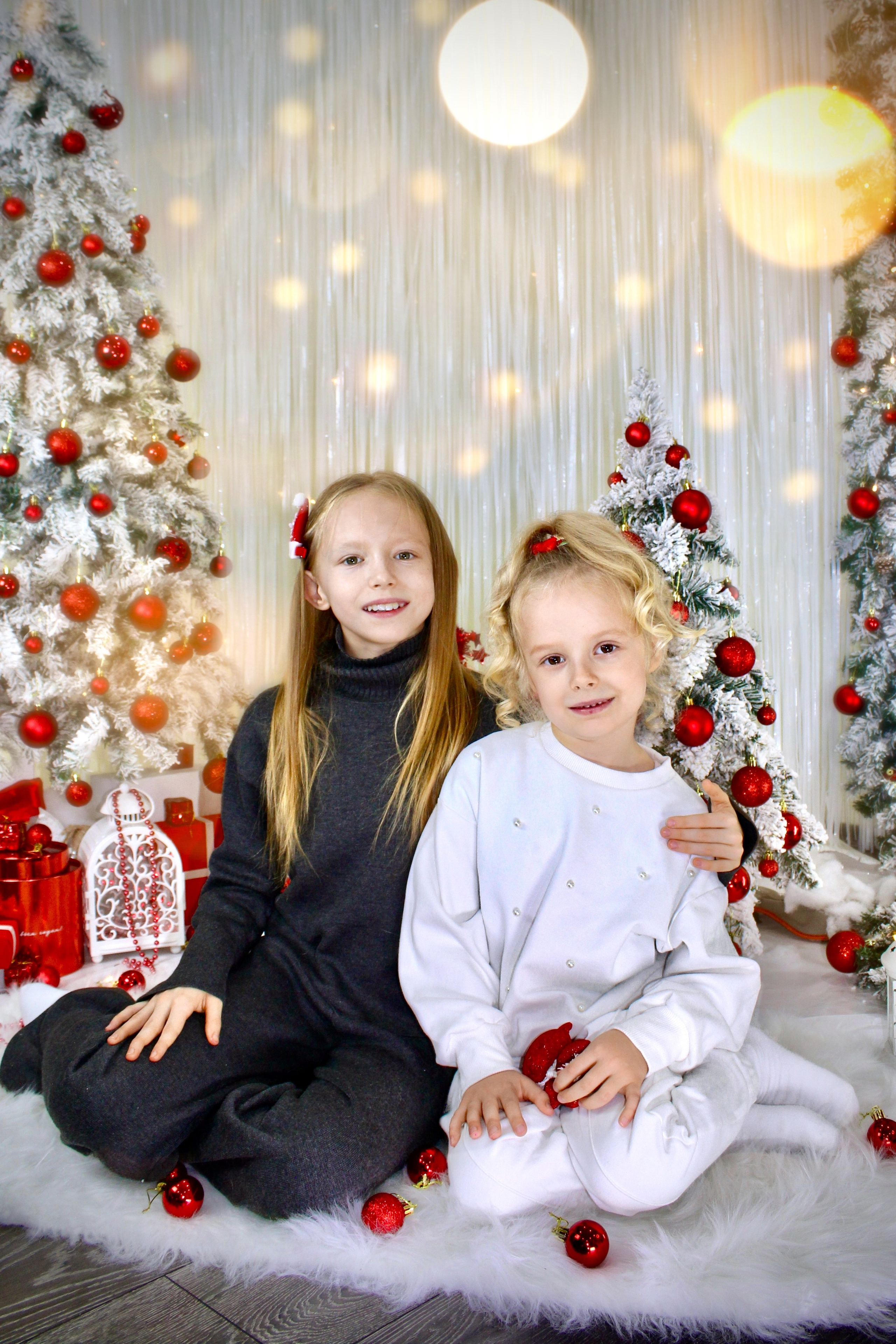 Скоро Новый Год. Портфолио