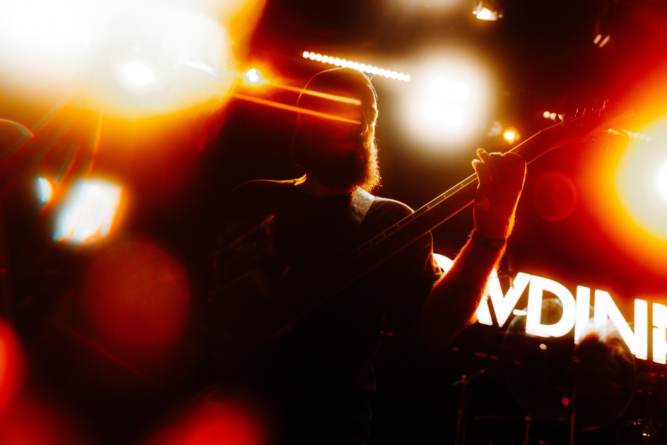 Ravdina | 19.09.24 | Сердце