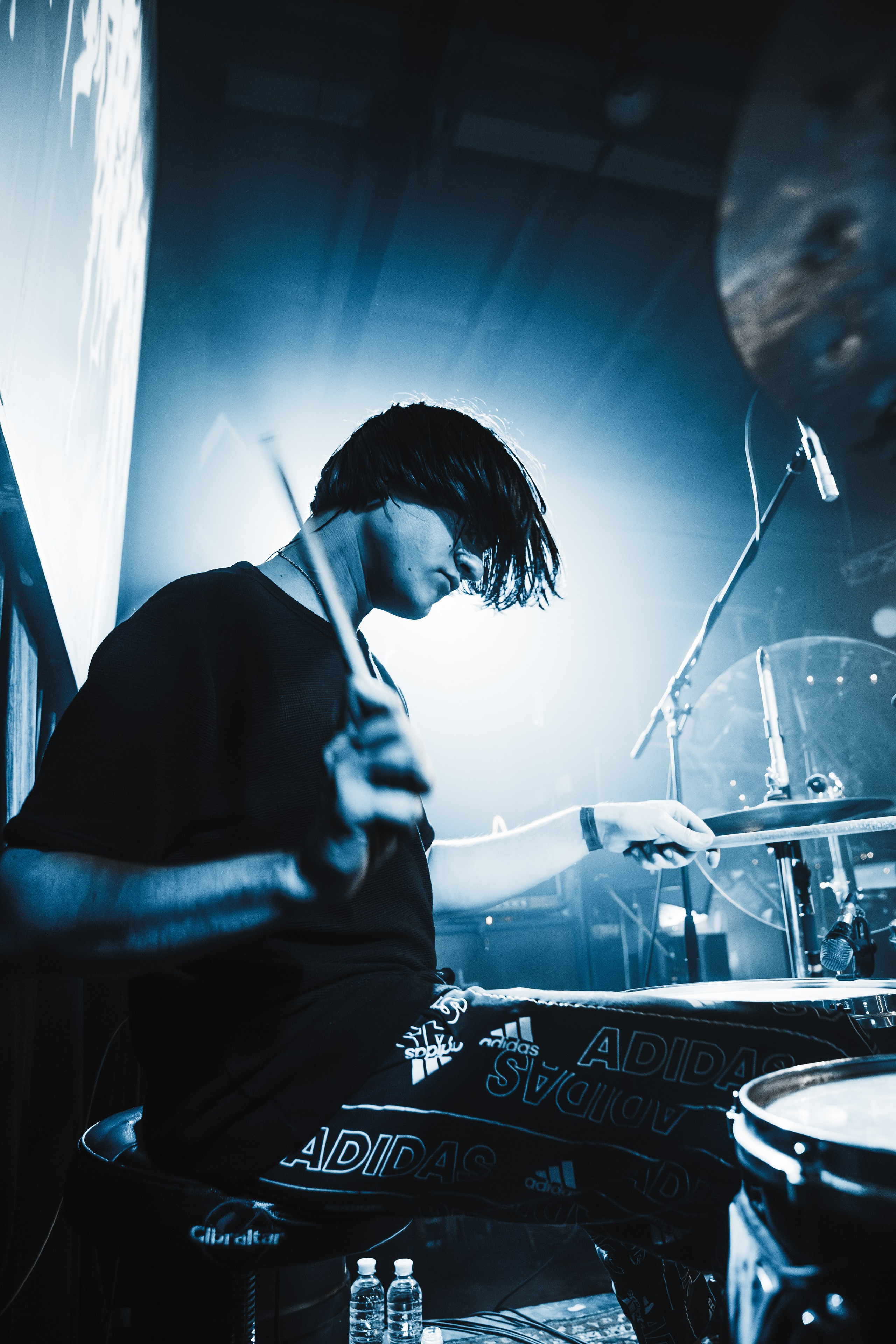 Гнилаялирика | 05.10.25 | Ласточка