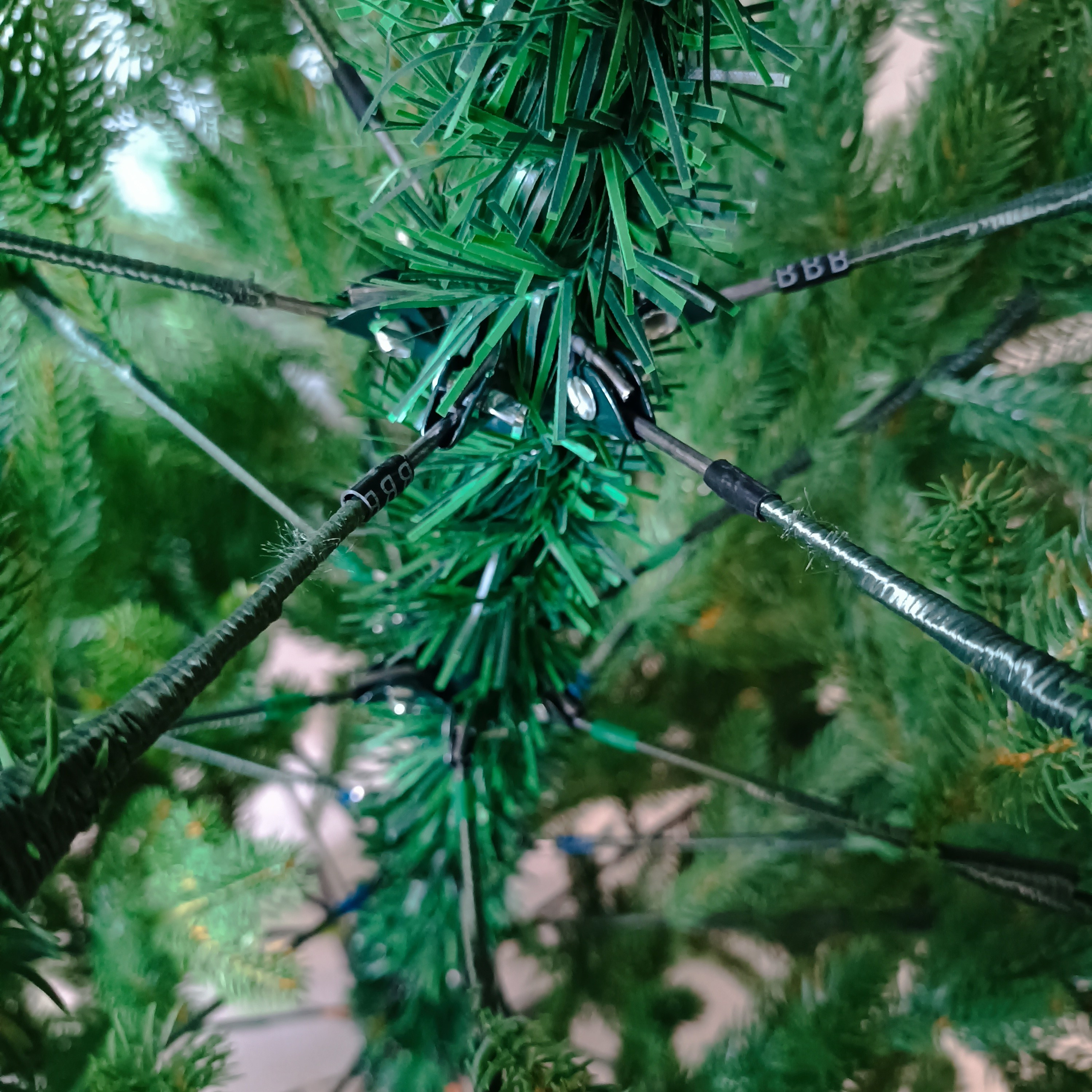 СКАНДИ. Elki_grodno