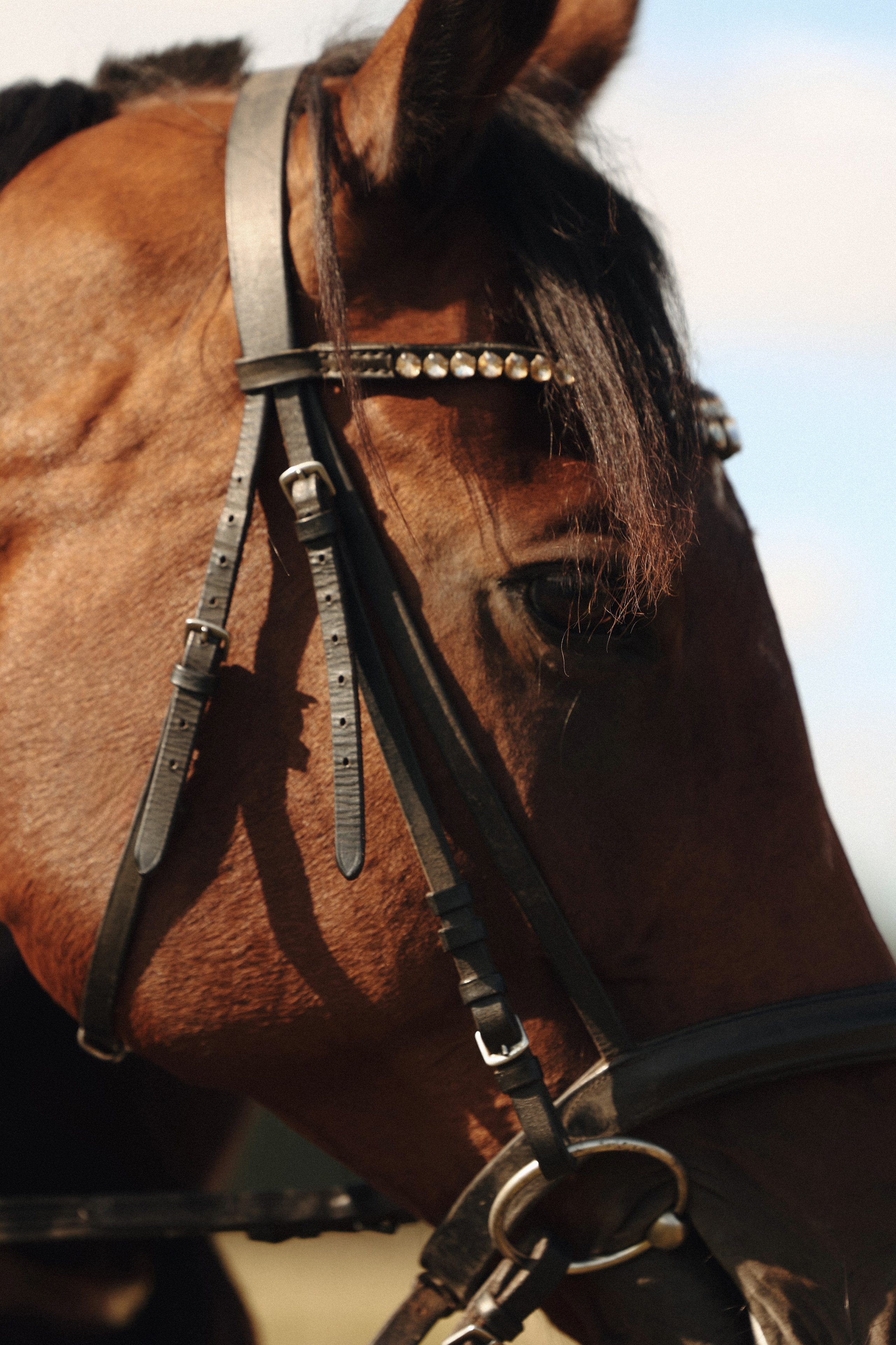 История любви Даши и Саши (анонс). Фотограф Нижний Новгород