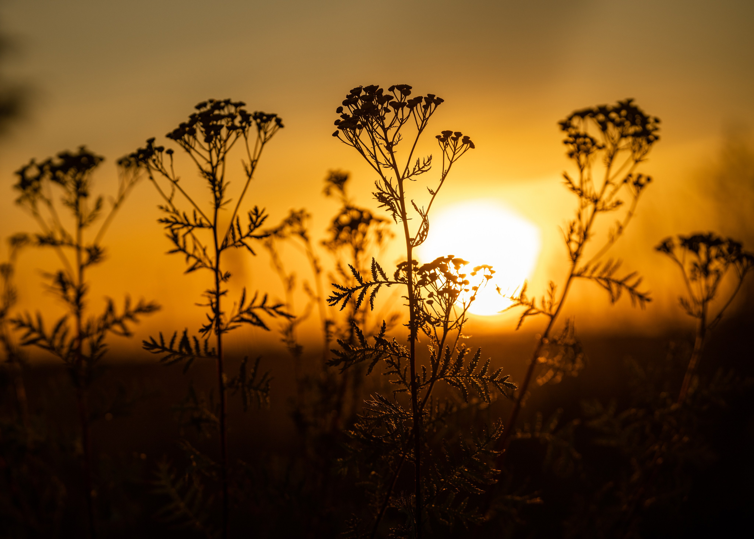Природные пейзажи. Наталия Клевинскас портретный фотограф в Костроме