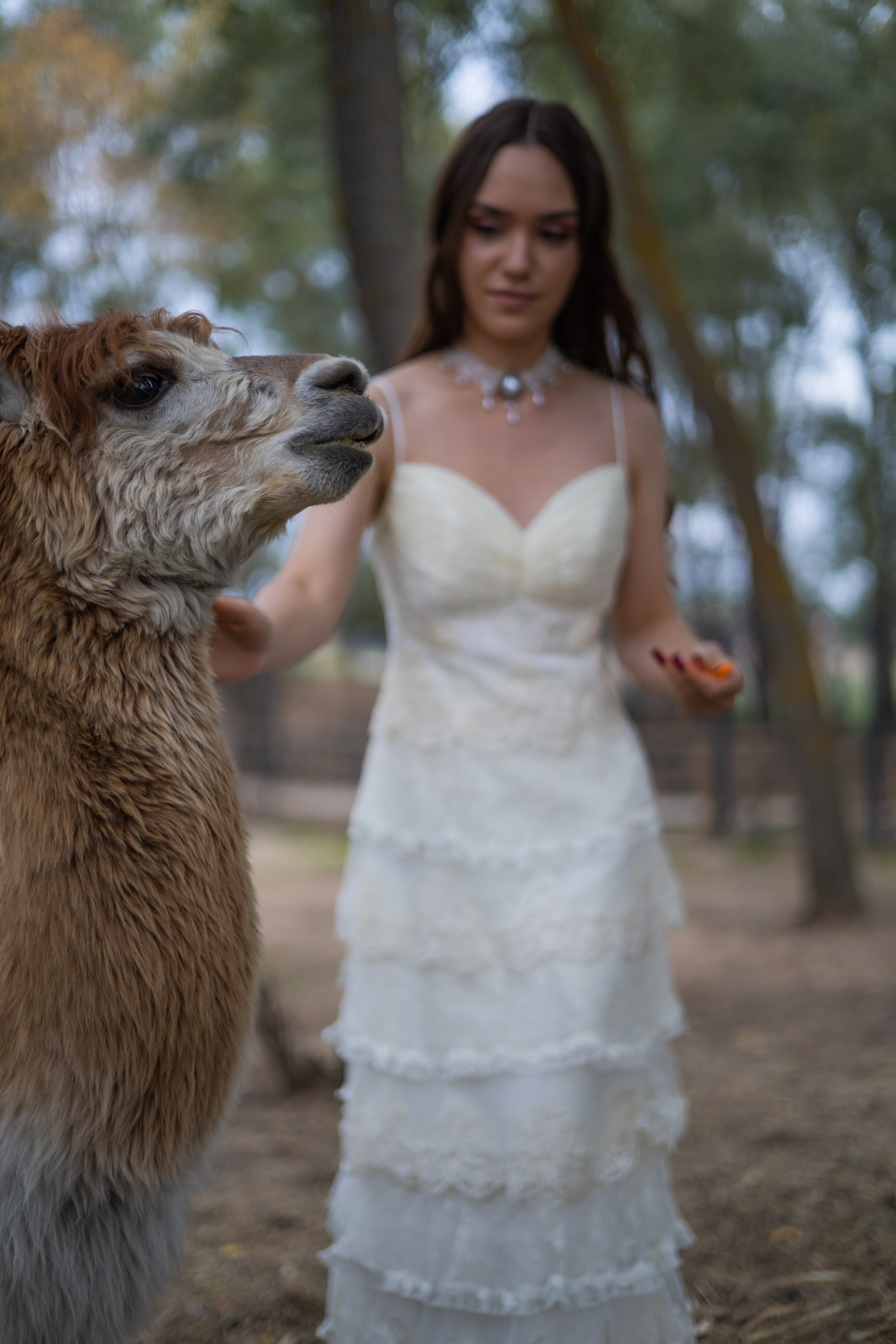 ZARINA. Фотограф Элла Ефимова