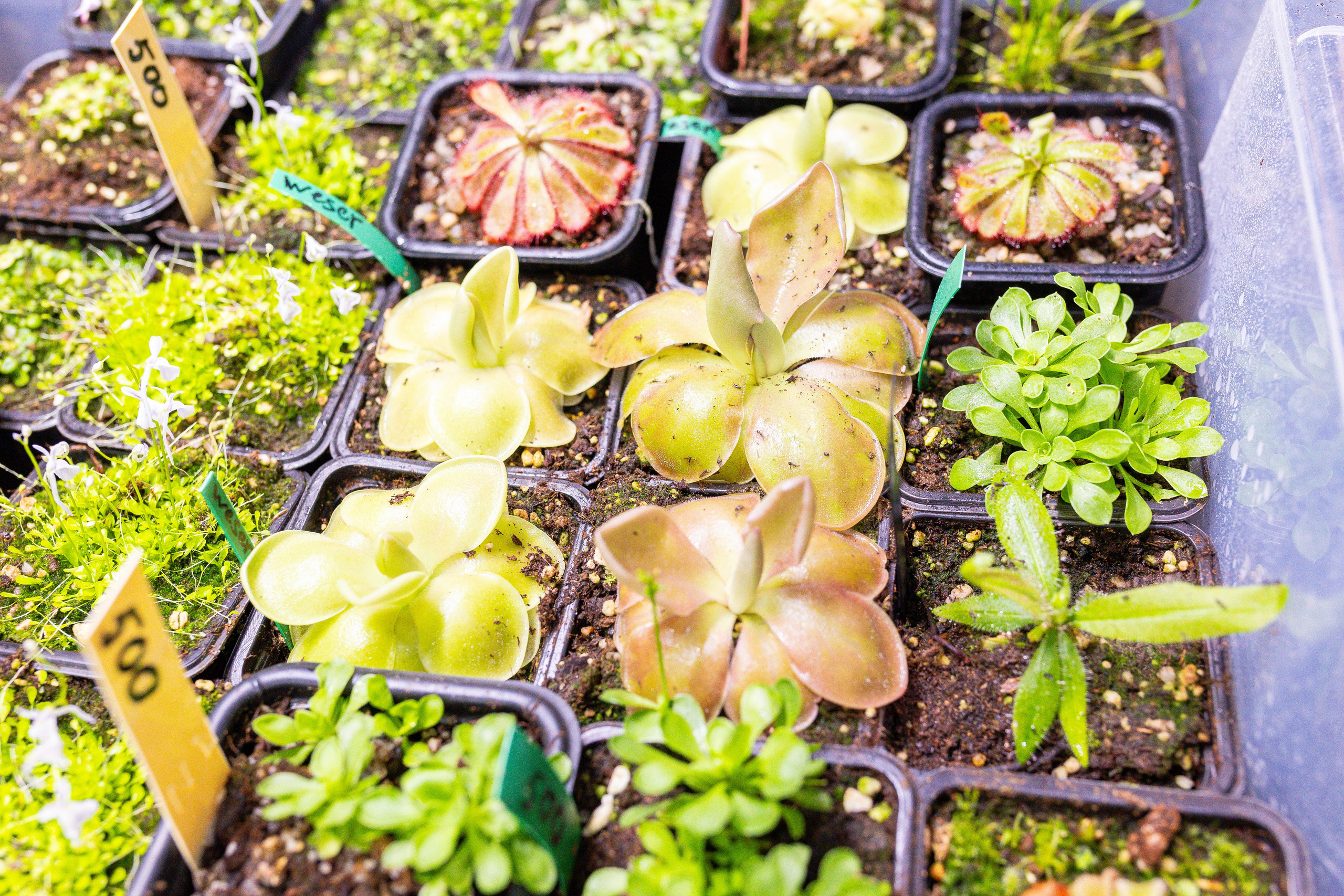 Монстериум 11–12 октября. Александра Куликова фотограф, Москва