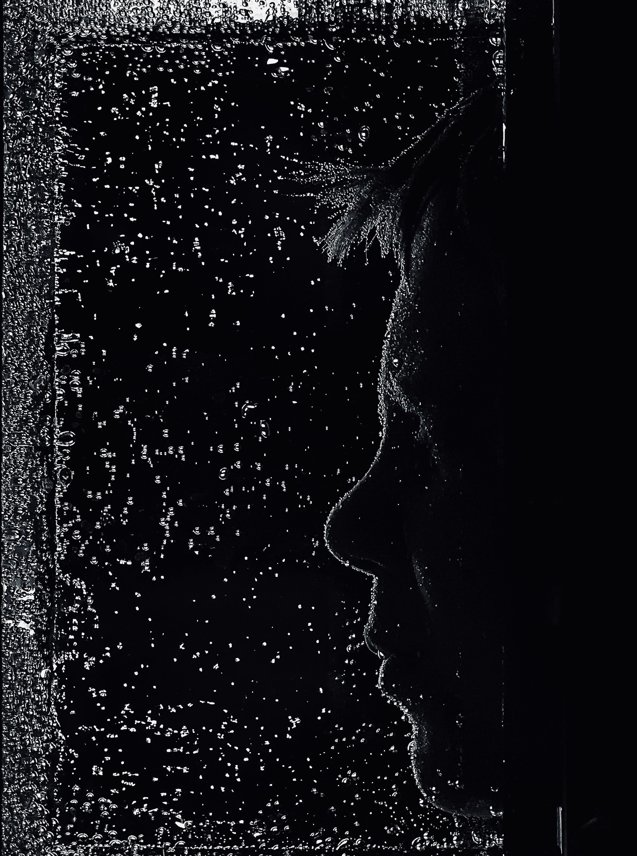 КАЛИНИНГРАД «ОЧЕРТАНИЕ РЕАЛЬНОСТИ». ARTEXPOPHOTO