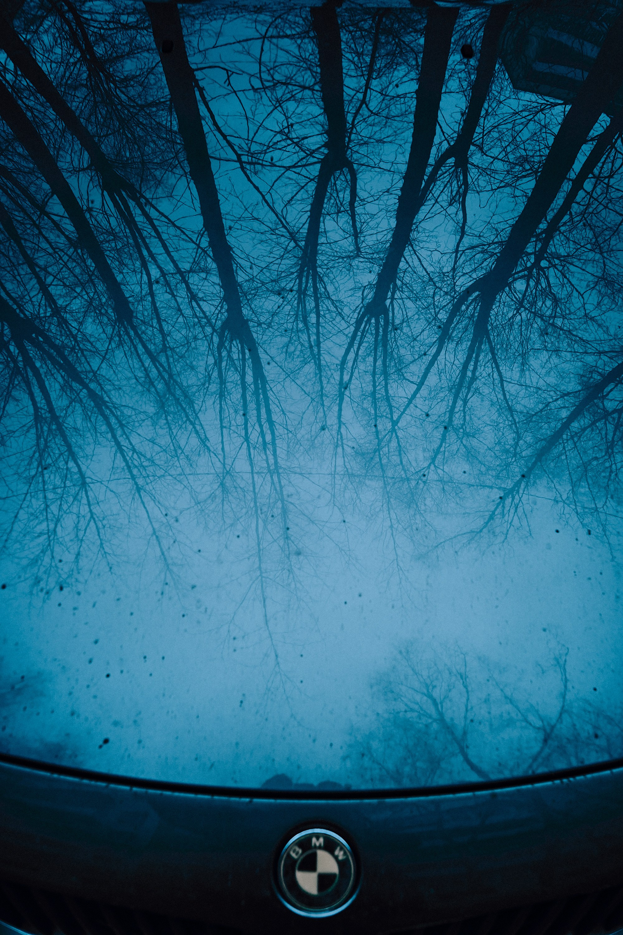 Москва. Фотограф и оператор мероприятий, концертов и портретов в городе Москва