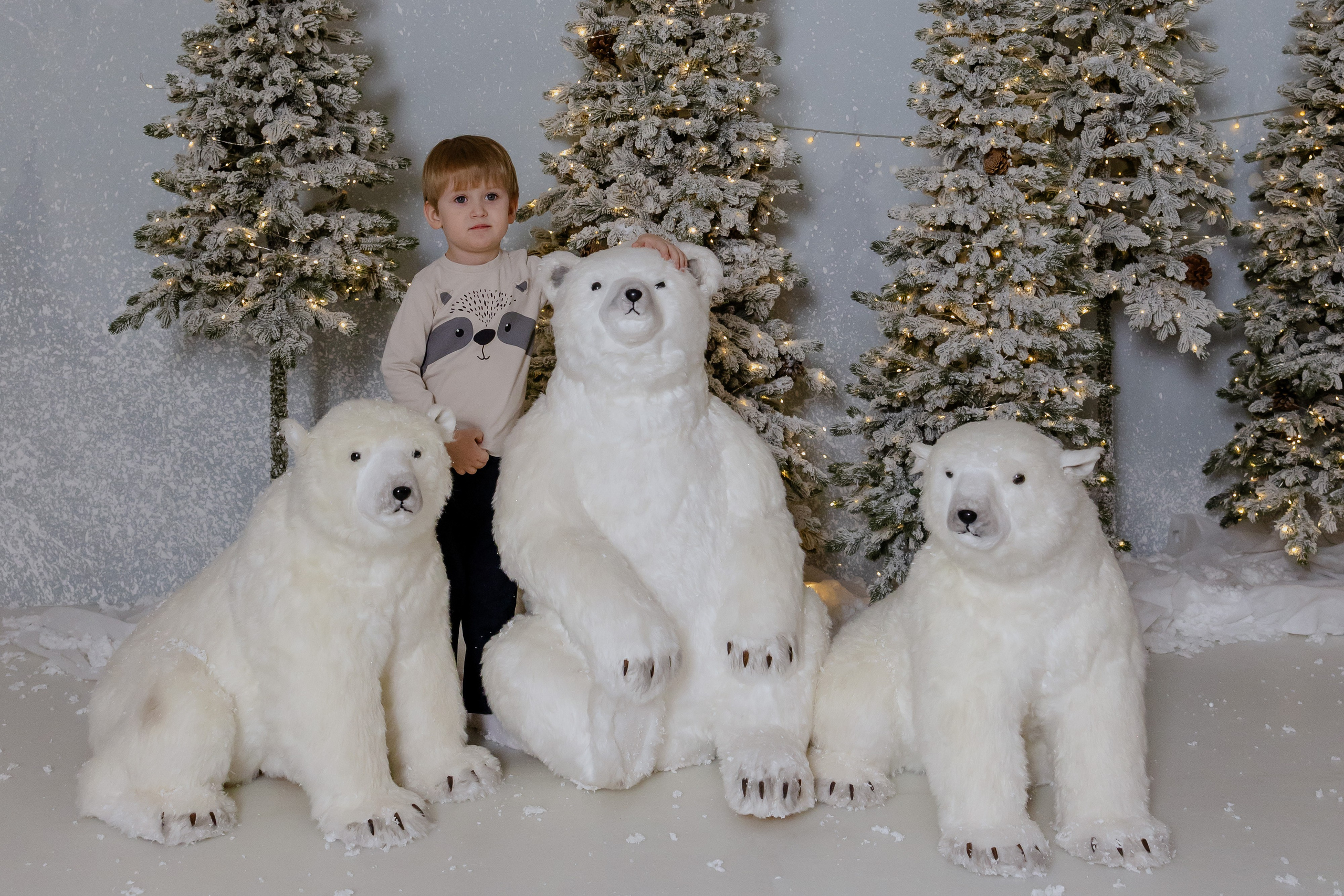 Новогодняя семейная съемка в студии. Фотограф в Новосибирске Екатерина Васильева
