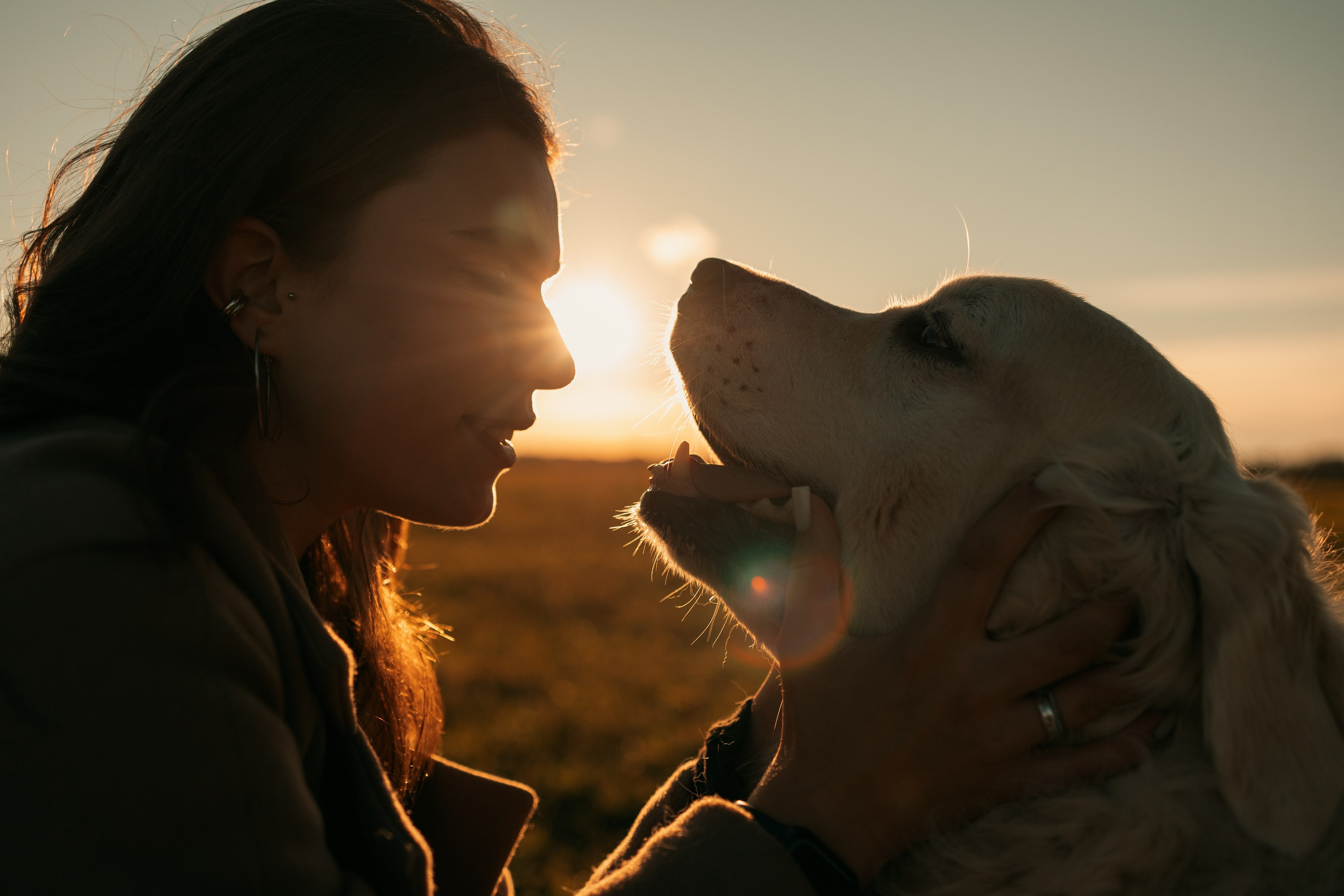 Лера и Скай. Фотограф — Анималист | Санкт-Петербург