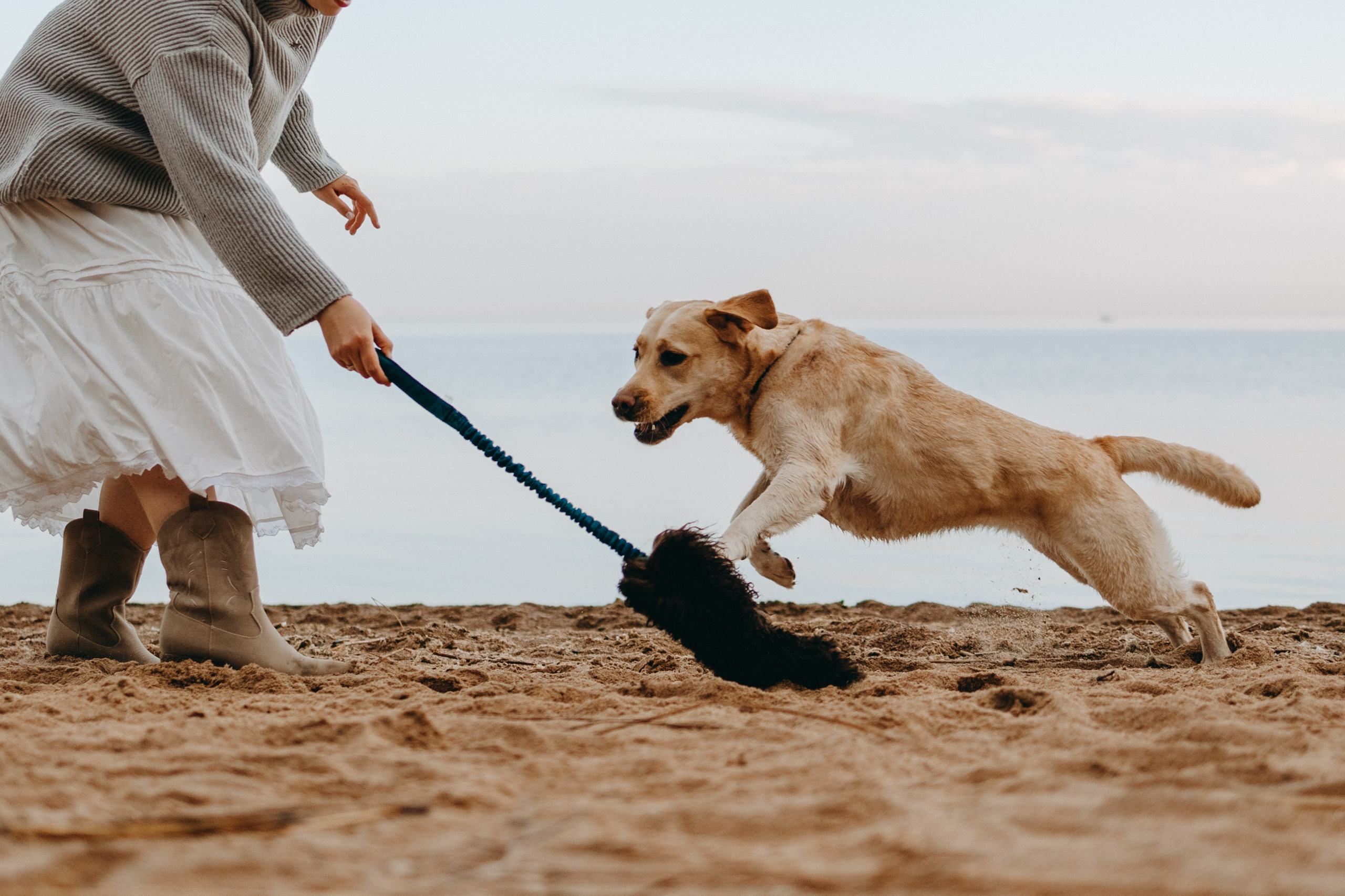 Наташа и Шани. Фотограф — Анималист | Санкт-Петербург