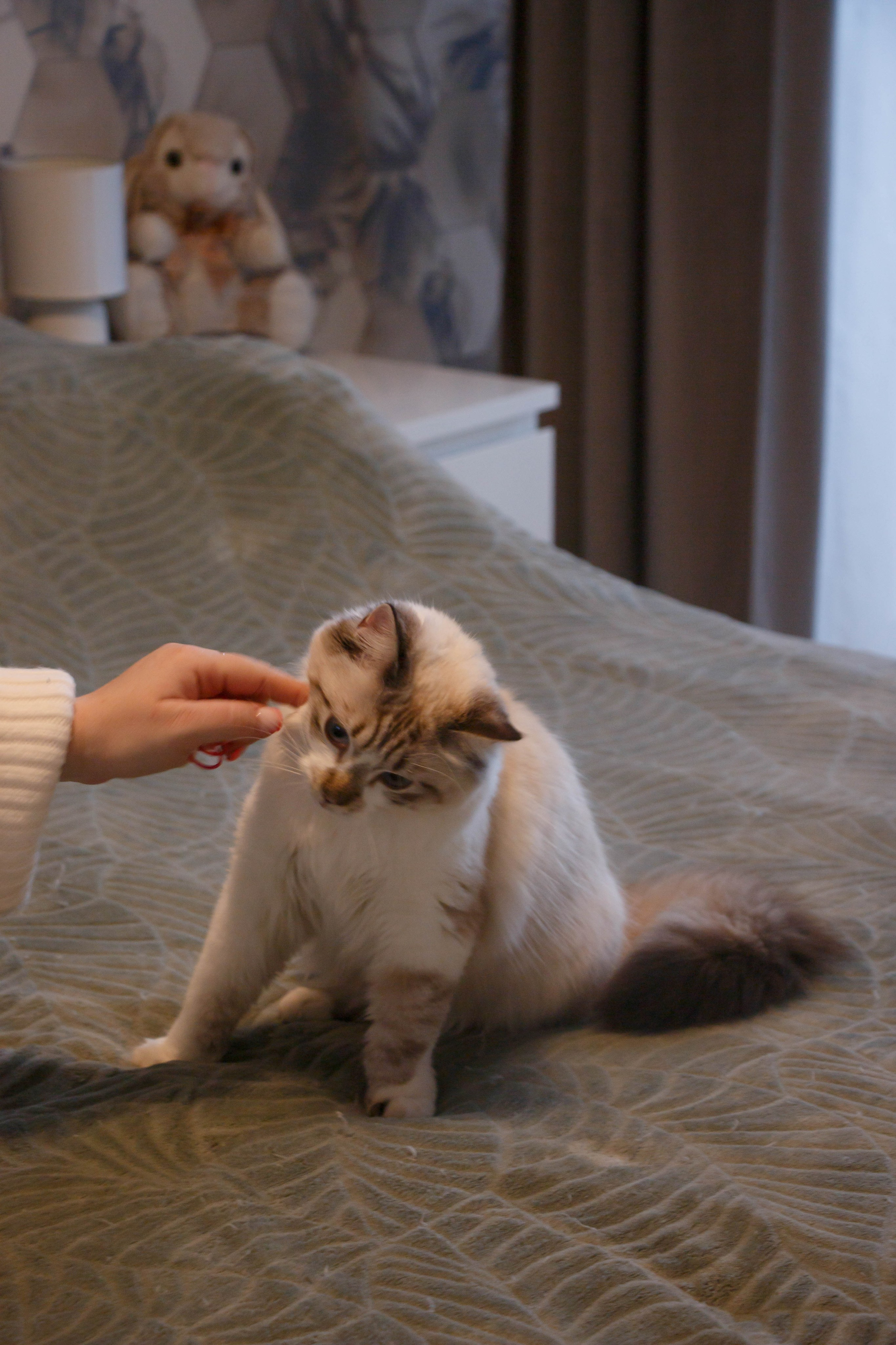 Kristina & Miya. Бережно сохраняю ваши чувства и истории на своих фотографиях