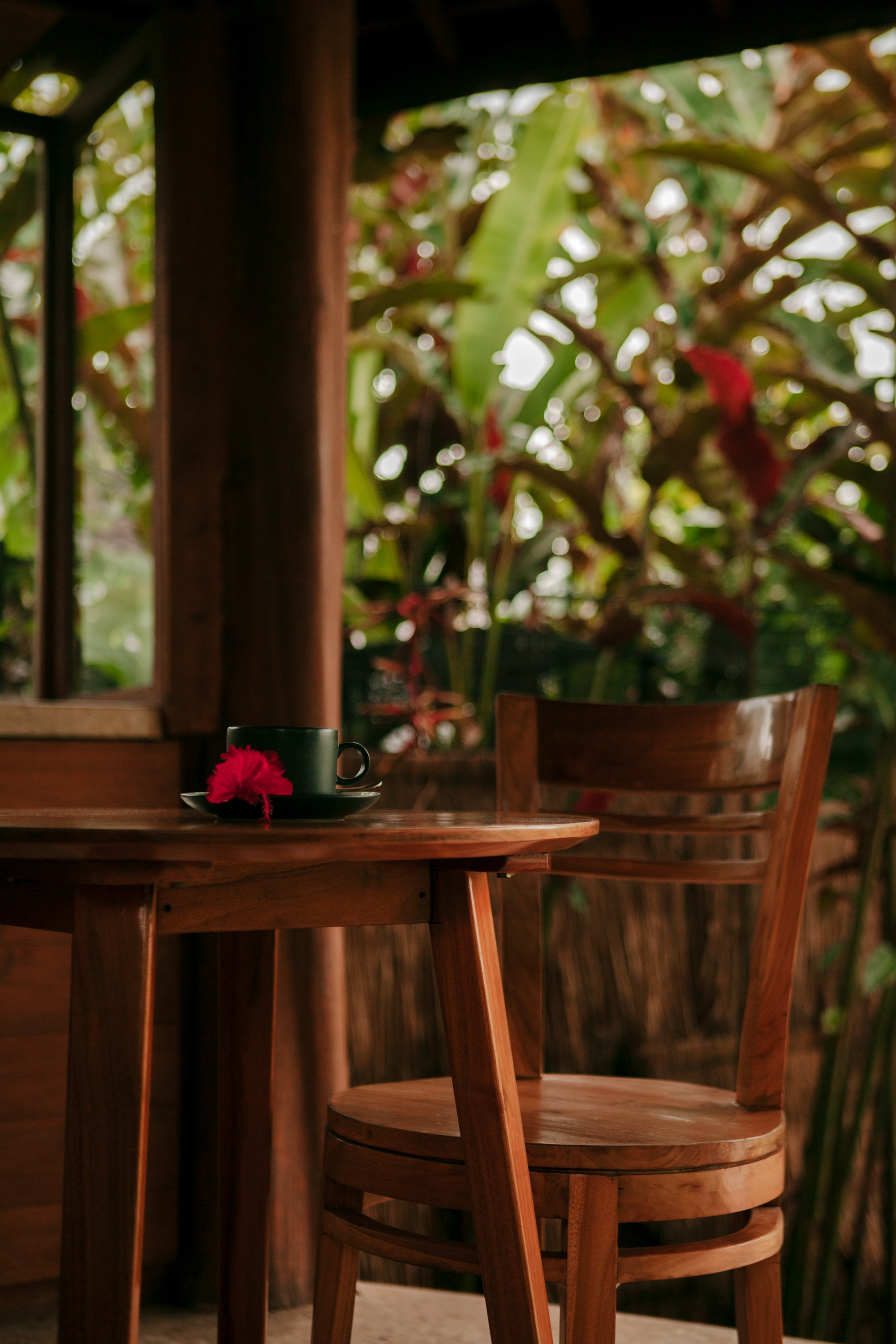 Вилла Sunrise Bali. Виолетта Скрипка