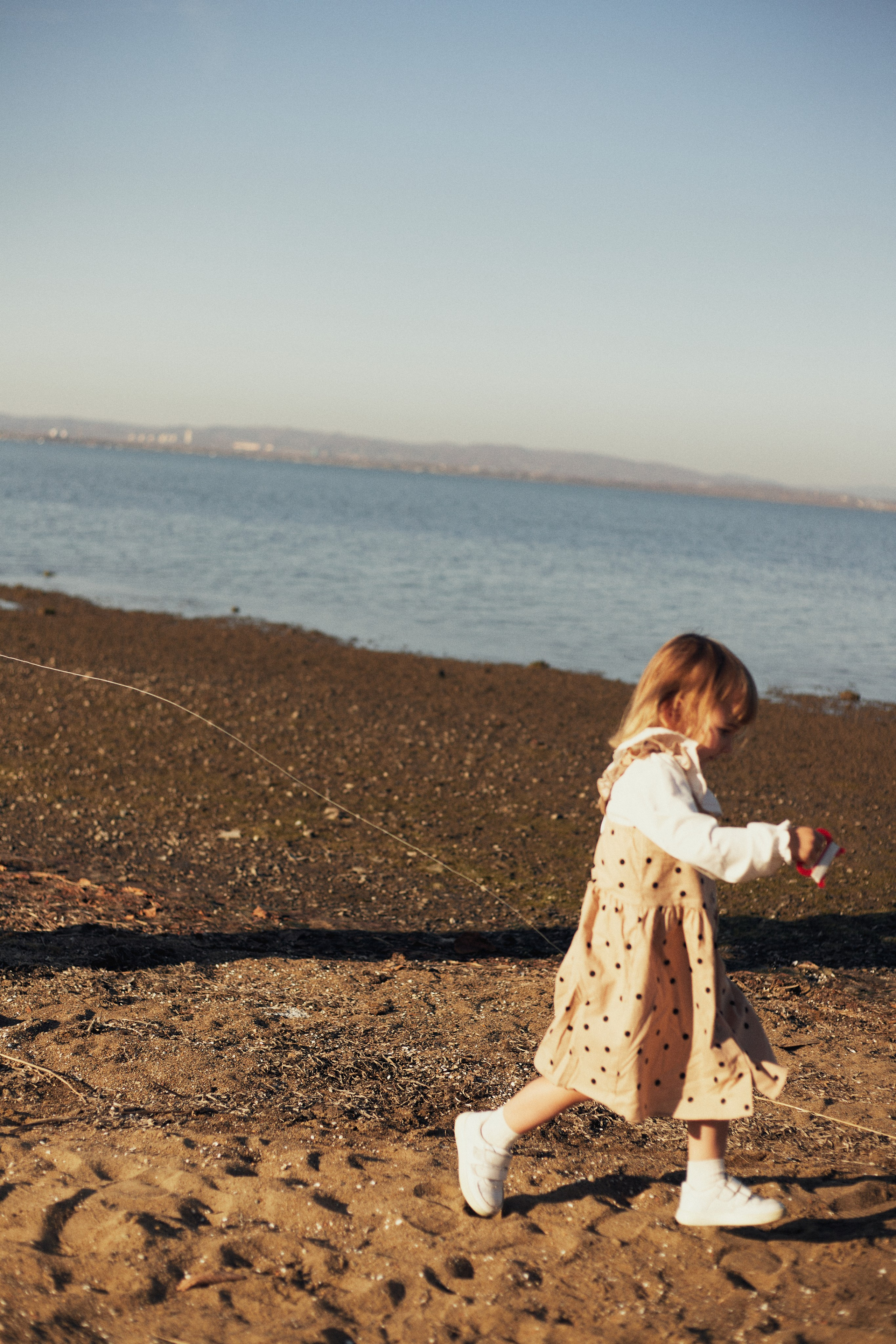 Летели высоко, летели далеко. Фотограф Ионова Анастасия, г Владивосток