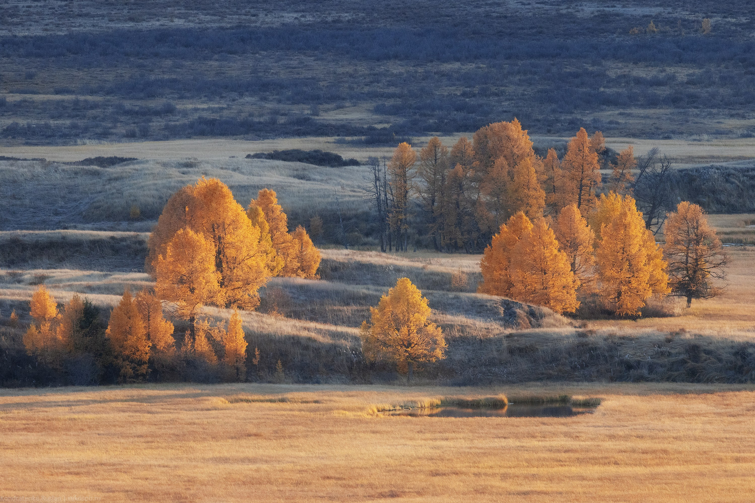 Горный Алтай. Архитектурный и пейзажный фотограф Кондратенко Руслан, Санкт-Петербург