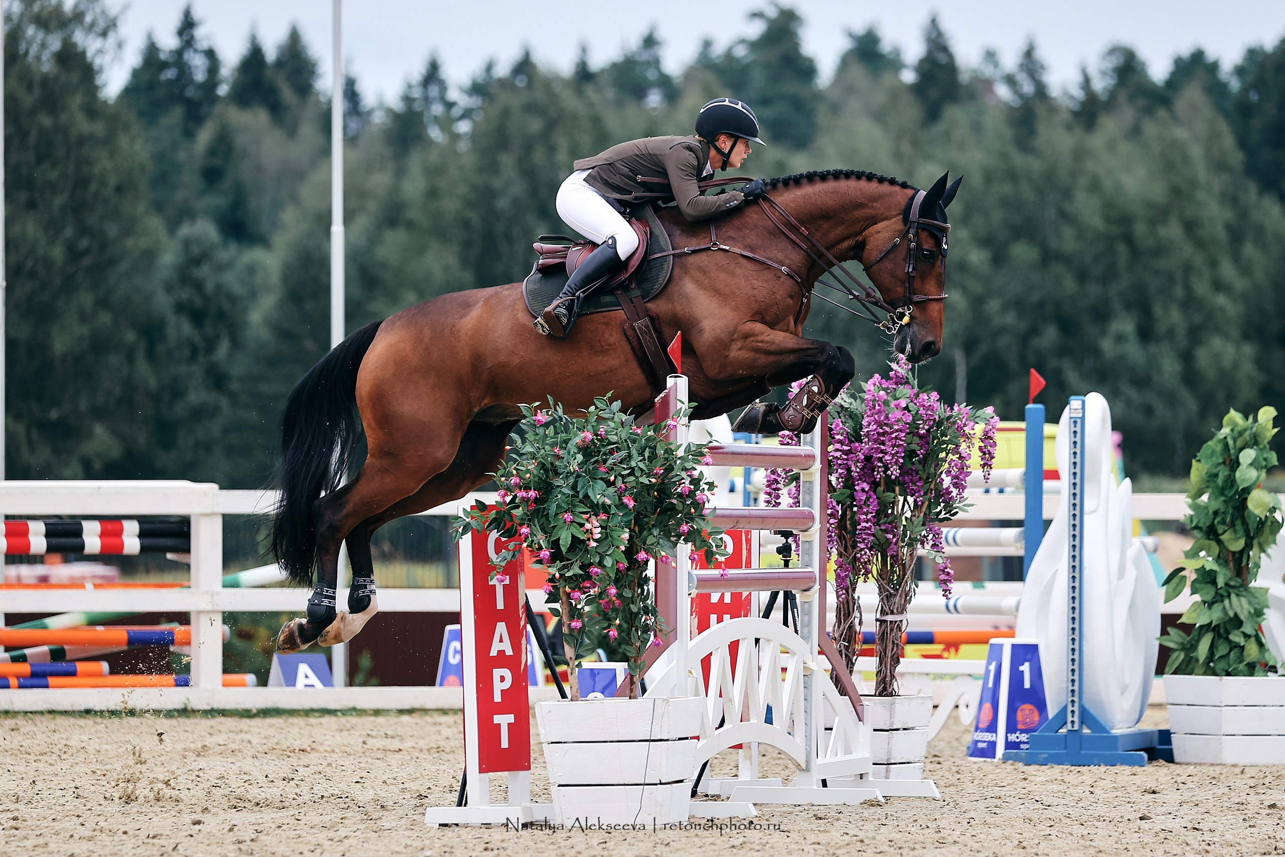 Лично-Командный ЧР по конкуру, КСК Horseka | 08'2023. Репортажный фотограф и ретушер в Москве Наталья Алексеева