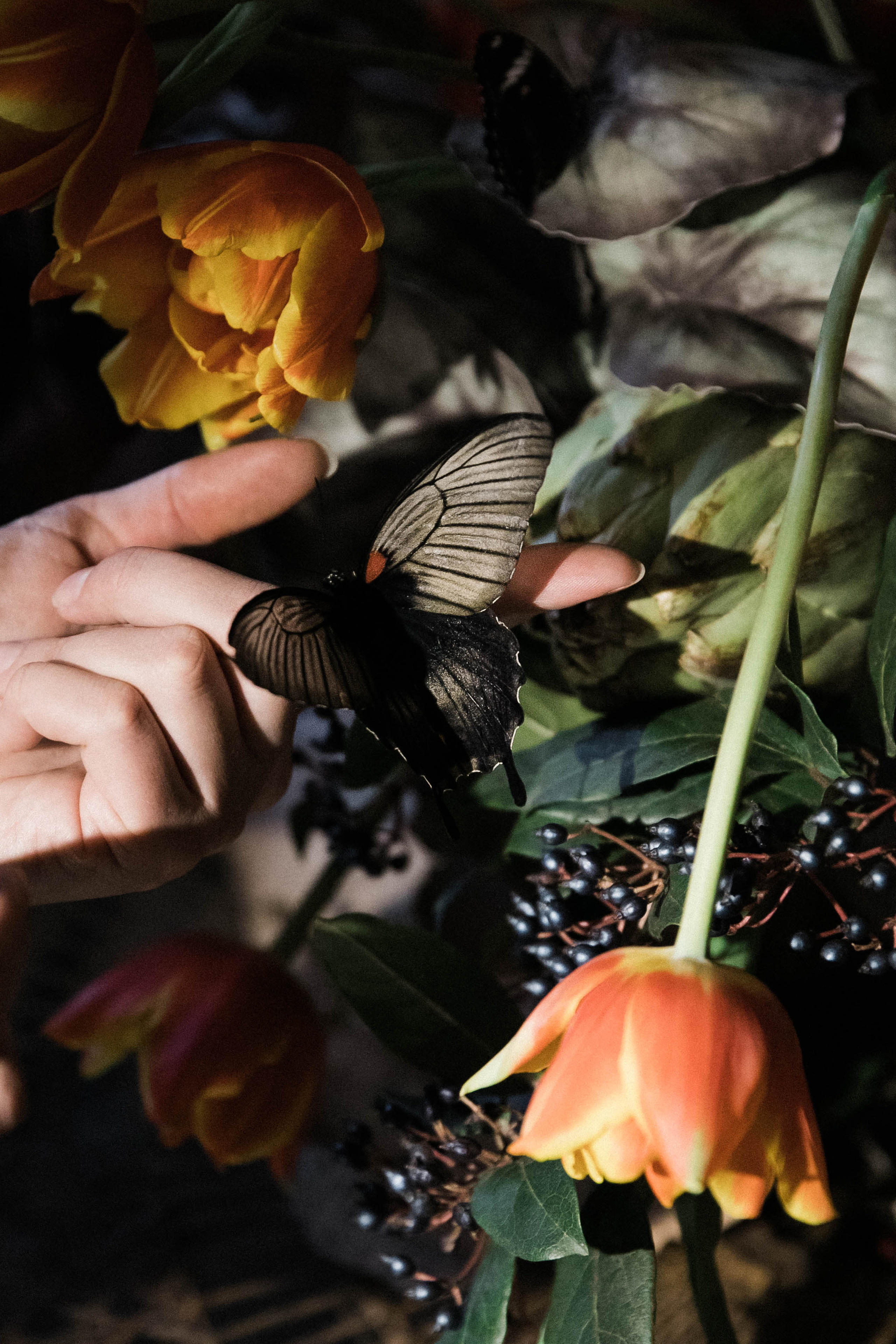 Избранное. Свадебный фотограф