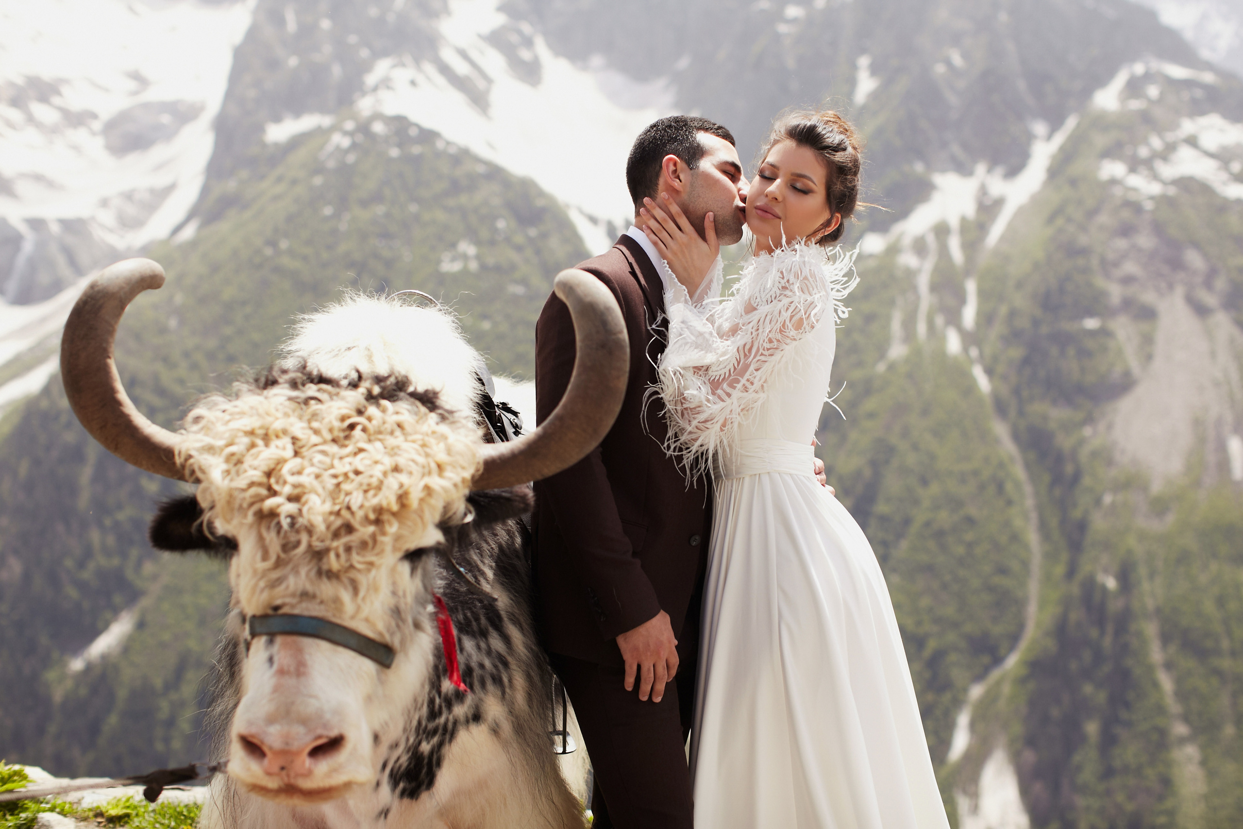 Избранное. Свадебный фотограф