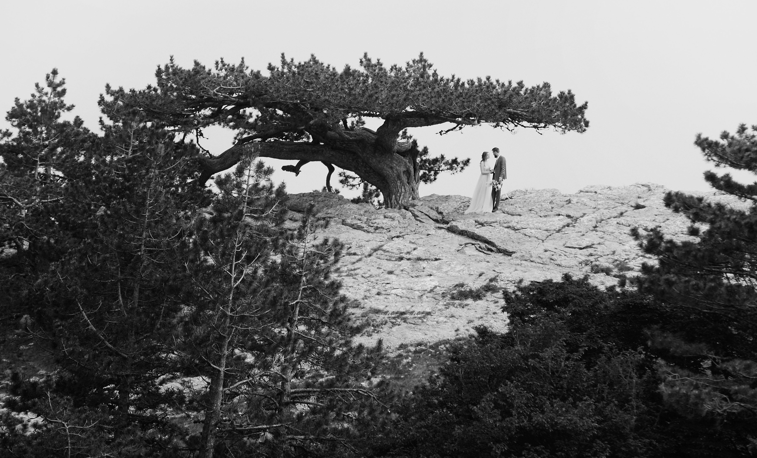 Избранное. Свадебный фотограф