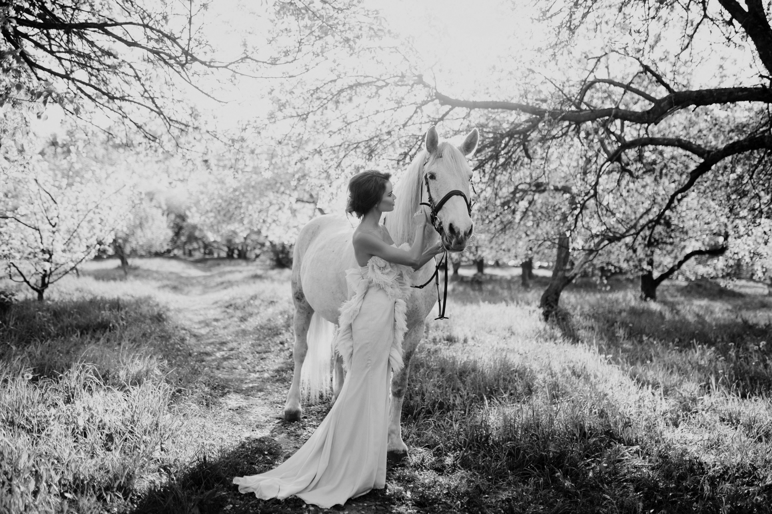 Избранное. Свадебный фотограф