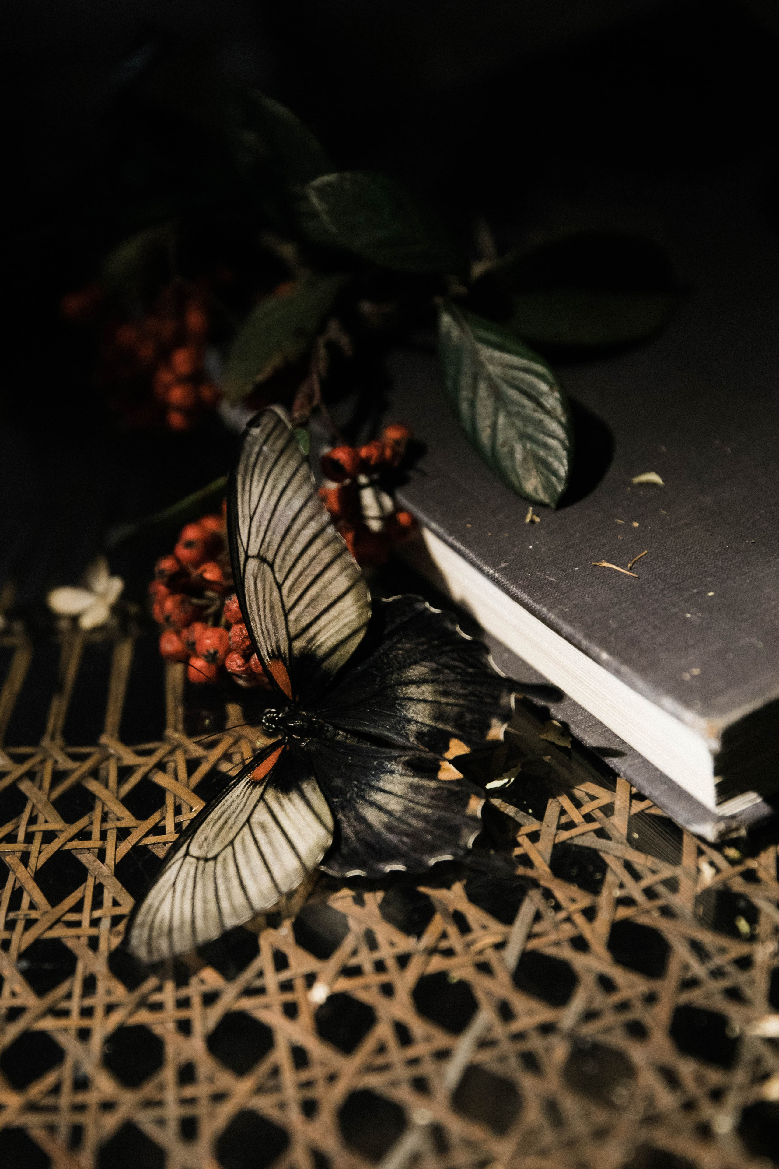 Elena | Russia, Moscow. Свадебный фотограф