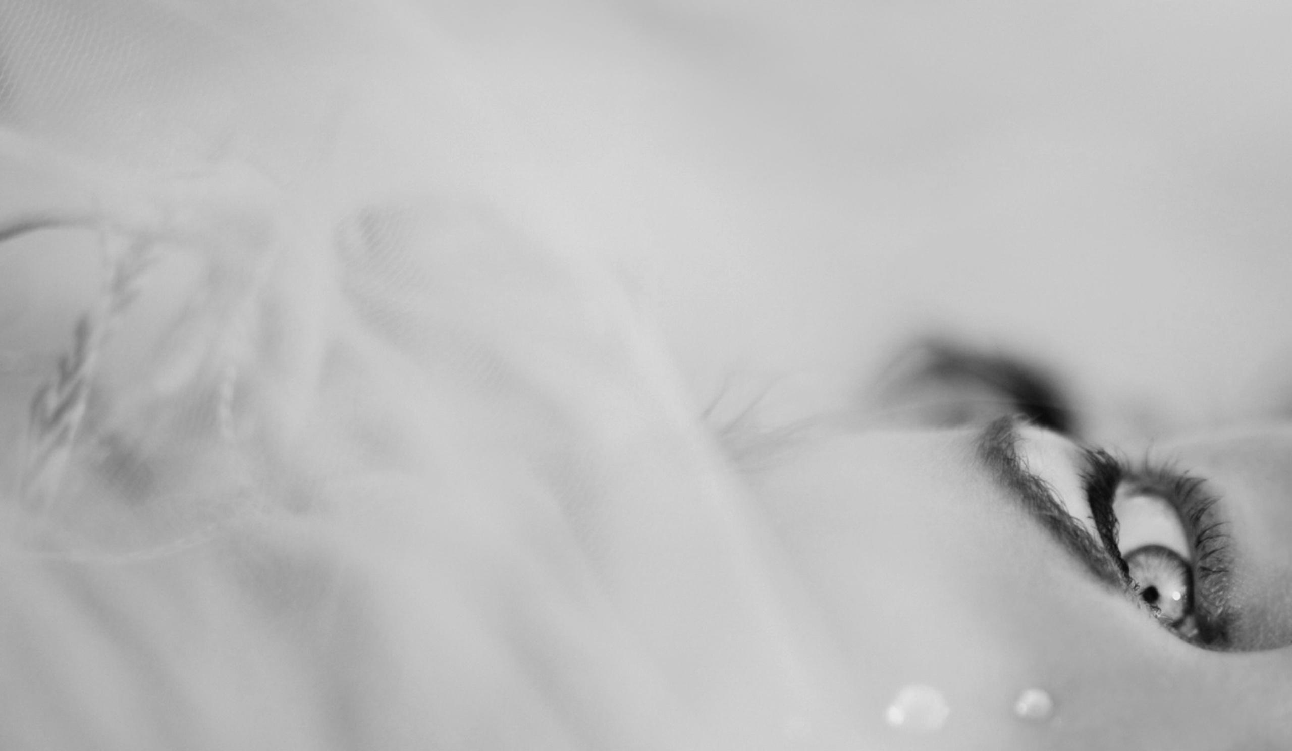 Избранное. Свадебный фотограф