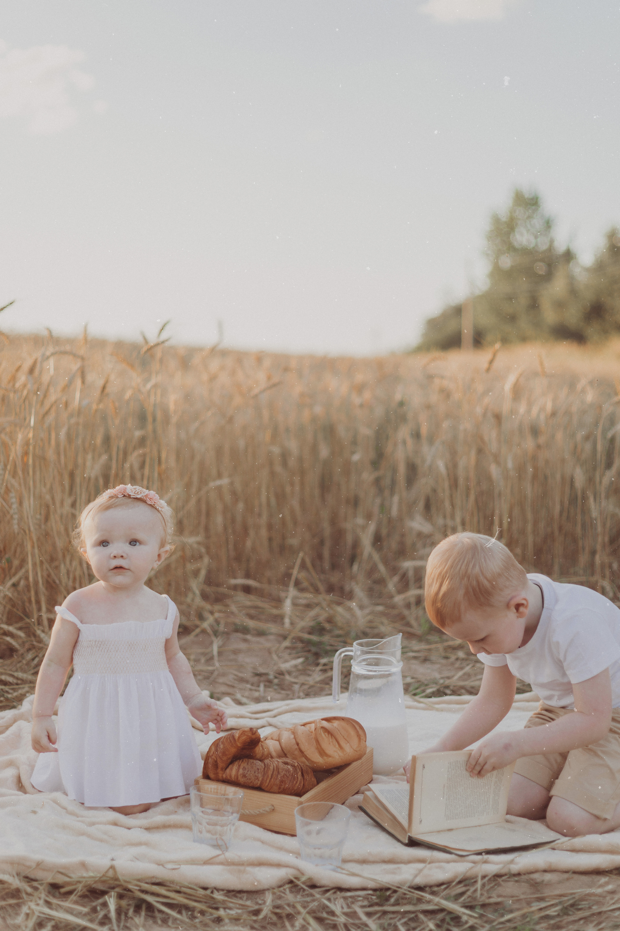 FAMILY STORY. Фотограф и Видеограф в Москве Дарья Арсентьева
