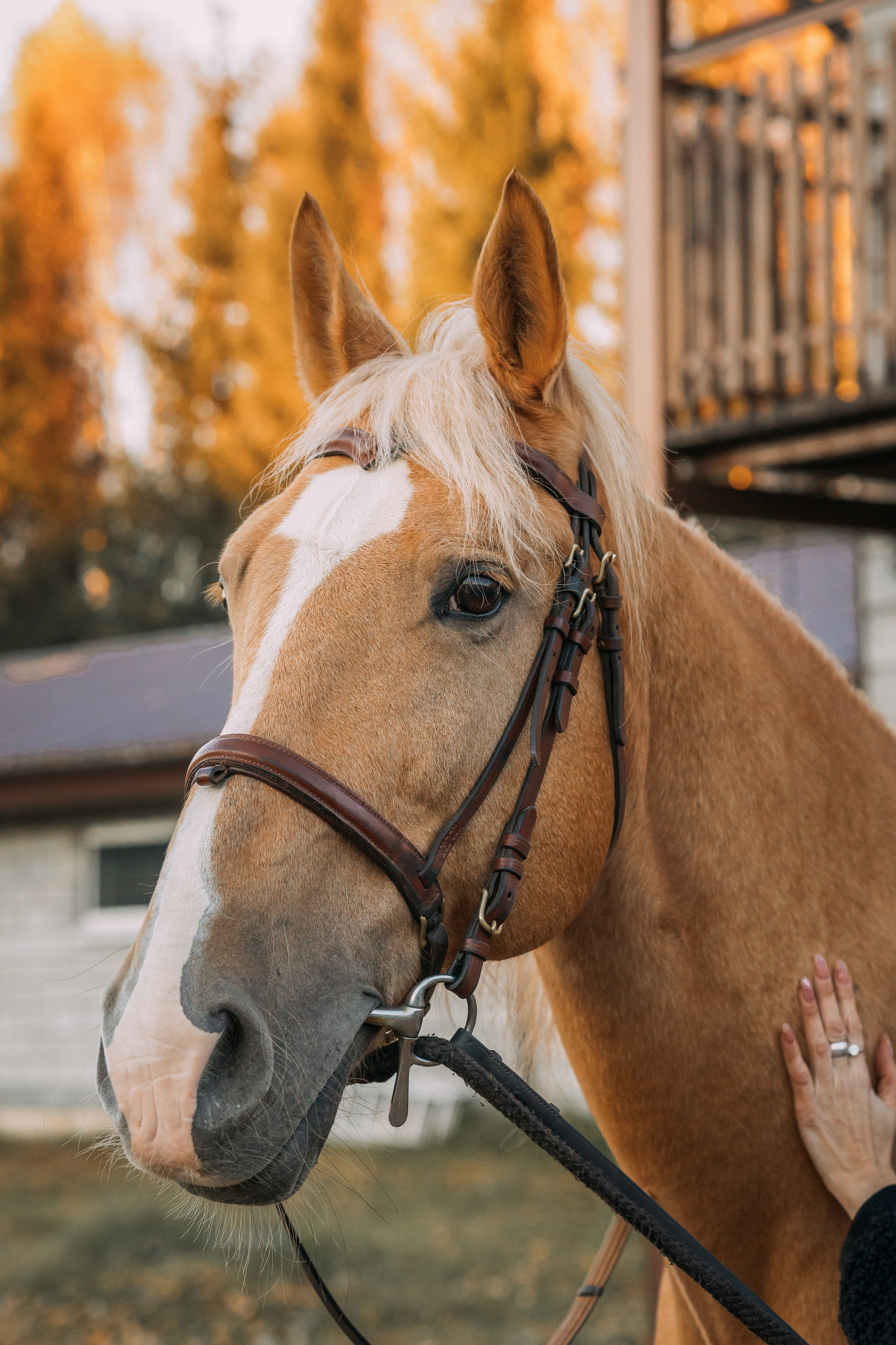 Елена и Хасан. Фотограф Яна Матвеева в Ижевске